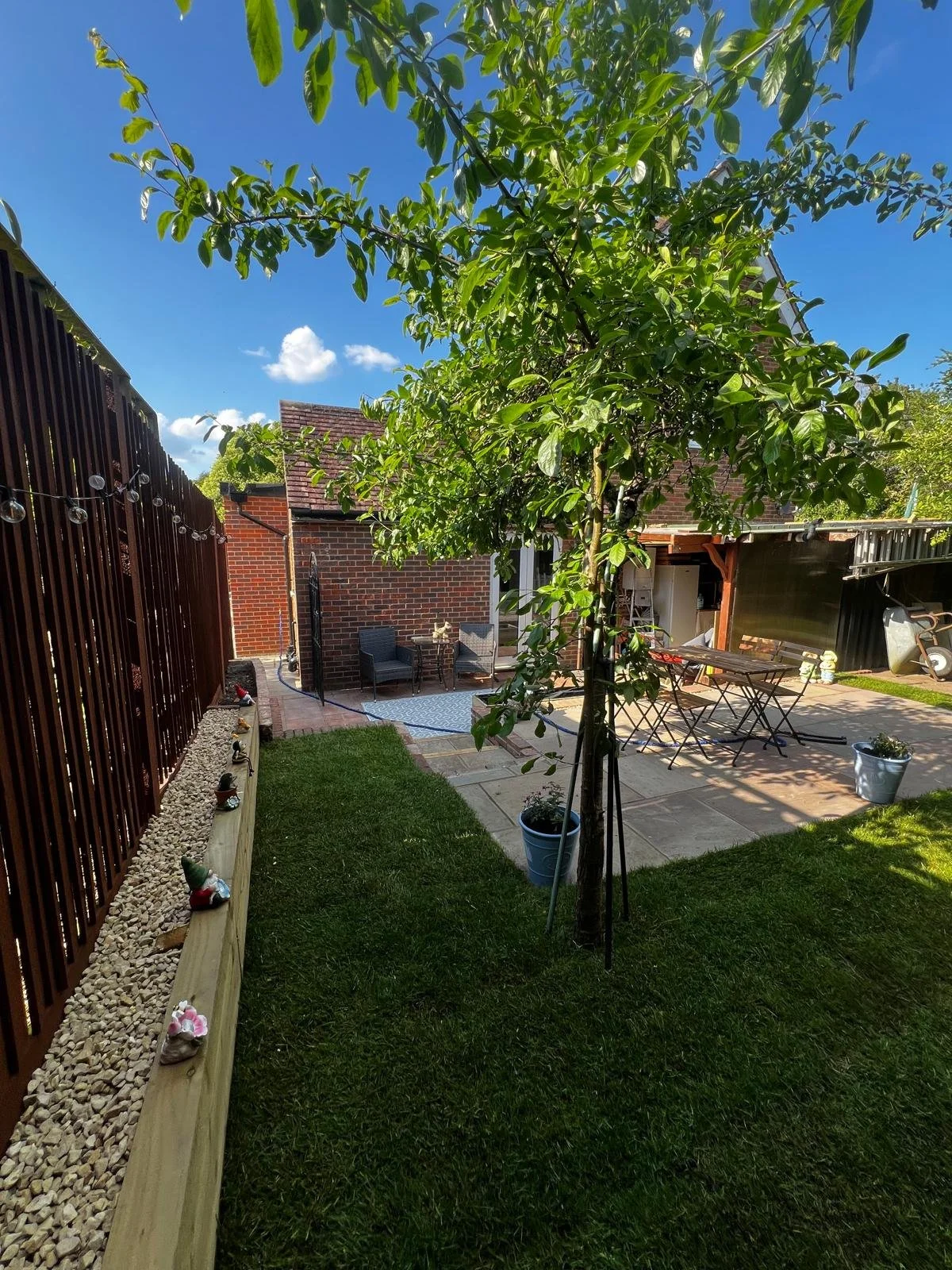 Backyard garden with a small tree in the foreground, a brick house in the background, and a patio with outdoor furniture, potted plants, and decorative garden gnomes under a blue sky with a few clouds.