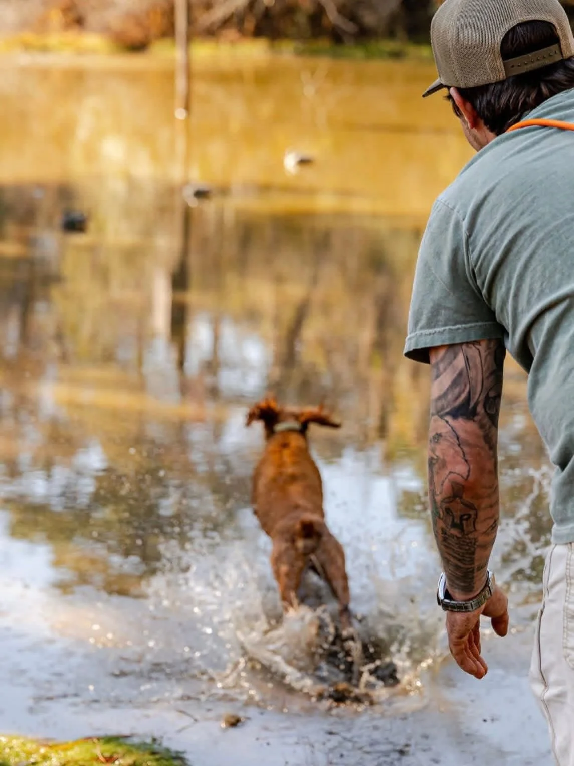 A man with tattoos on his arm wearing a cap, gray t-shirt, and beige pants, watches a brown dog run into a shallow pond.