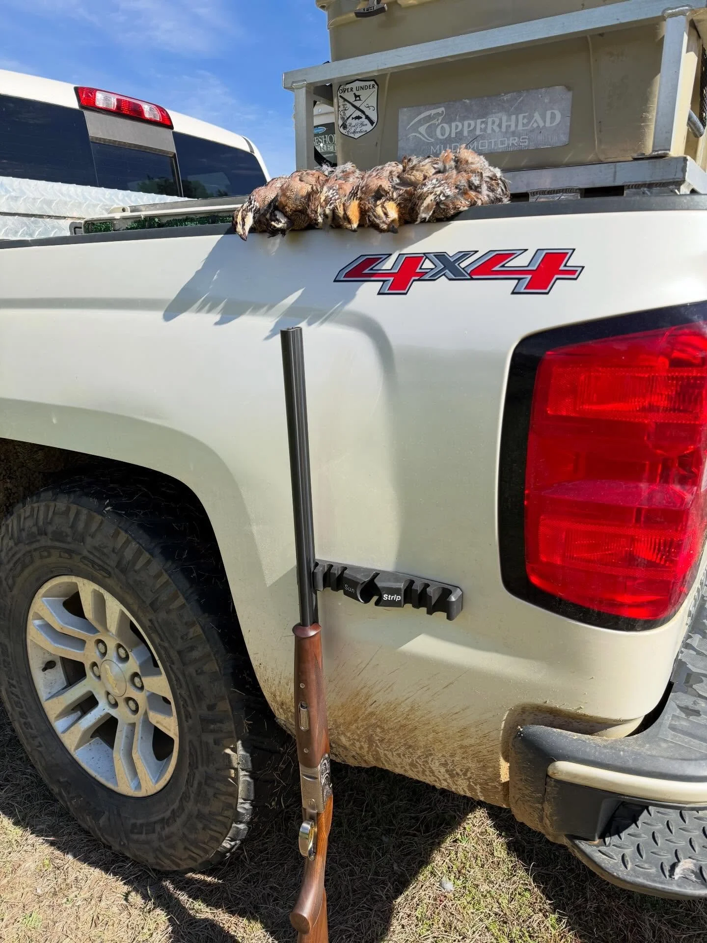 Shout out to @rigstrips for making a great product! #beretta #20ga #overandunder #quail #hunting