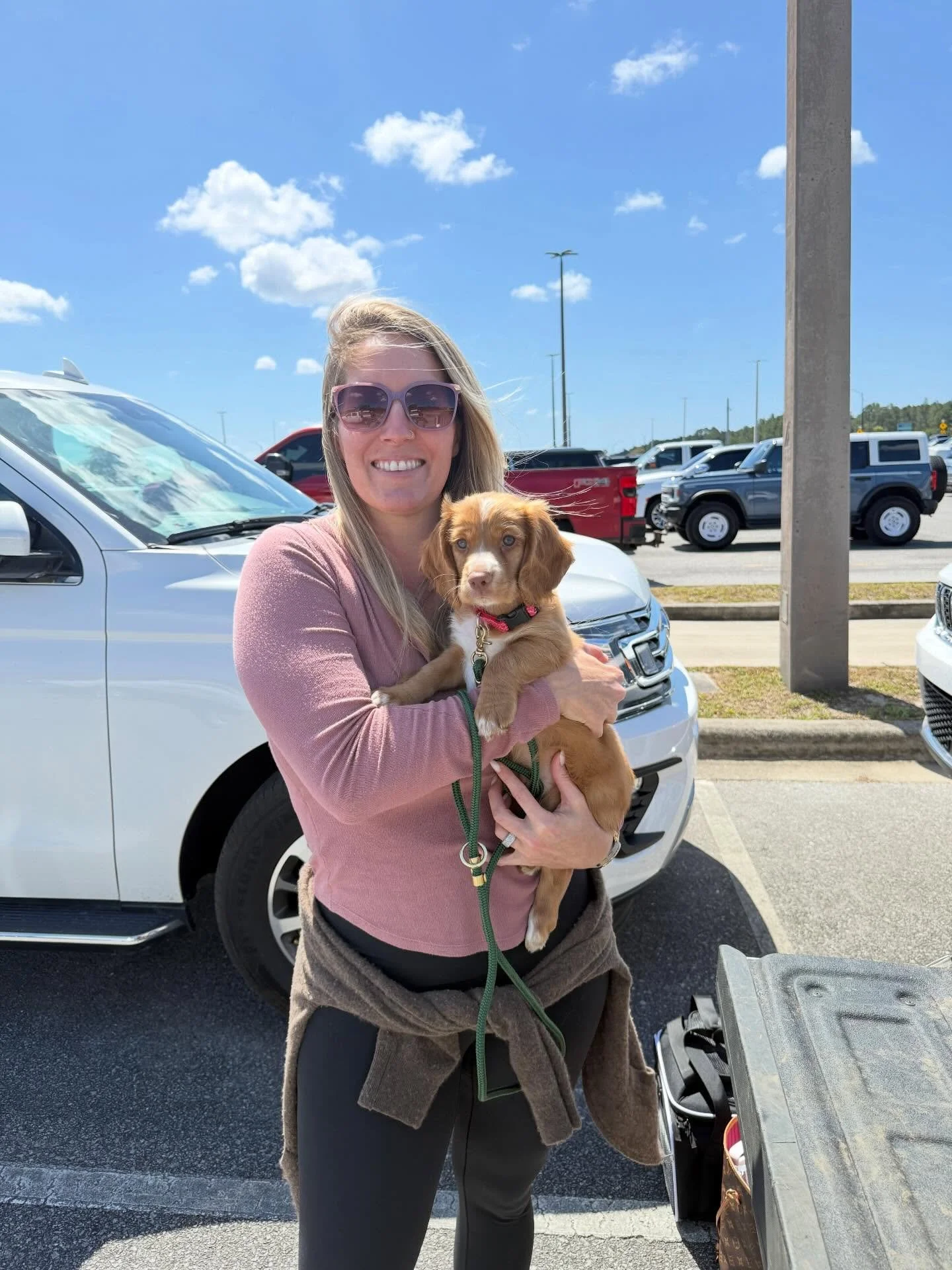 Red collar male is headed to the great state of Texas! #englishcockerspaniel #puppy #birddog #mansbestfriend #poweredbyinukshuk