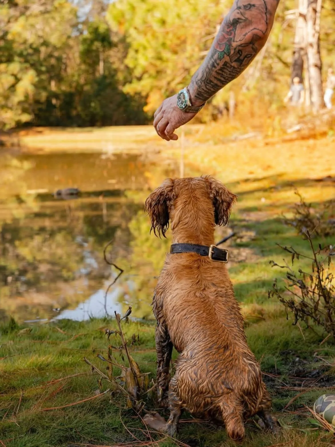 A person with tattoos on their arm is holding a stick over a sitting dog near a pond in an autumn wooded area.