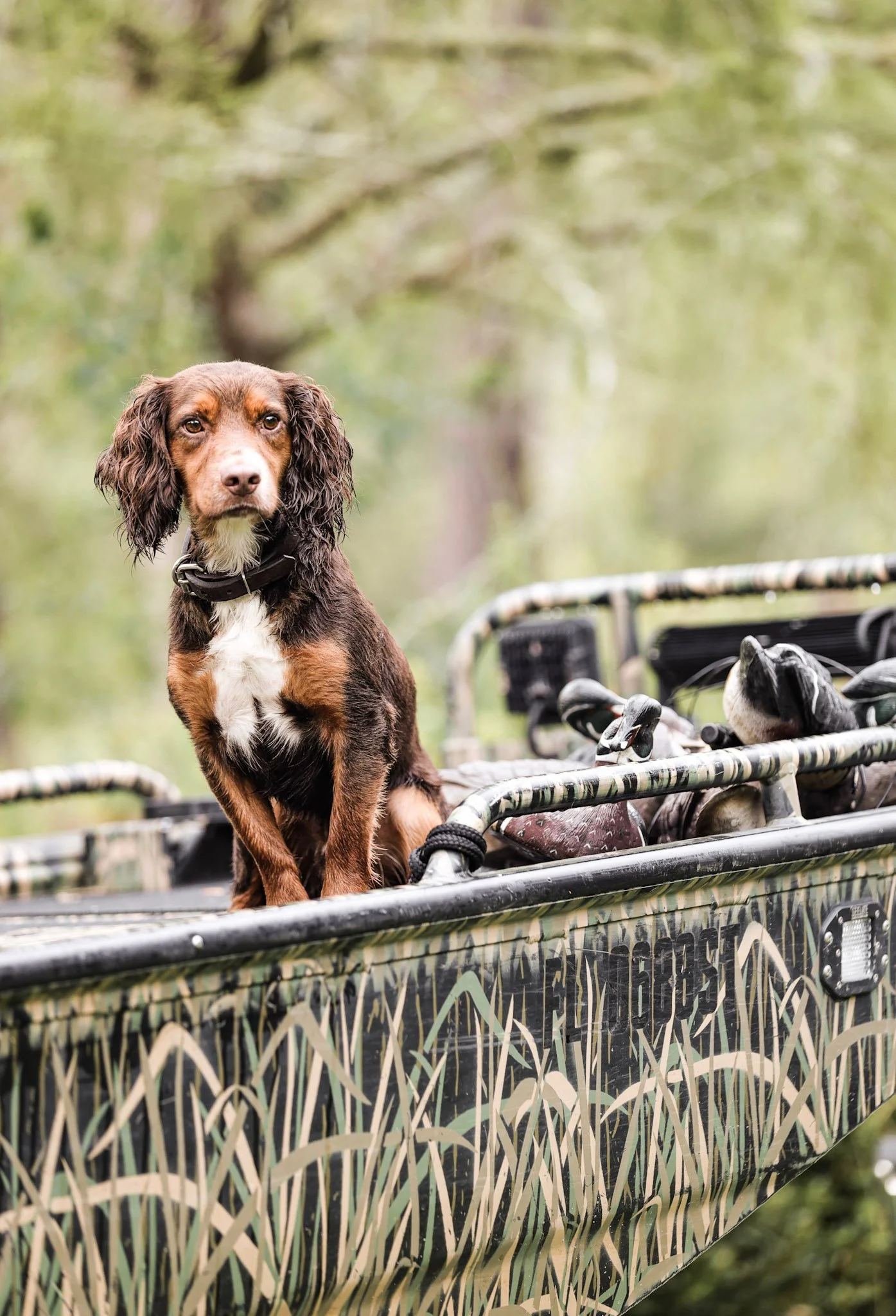 Dog sitting in a camouflage-patterned hunting cart outdoors.