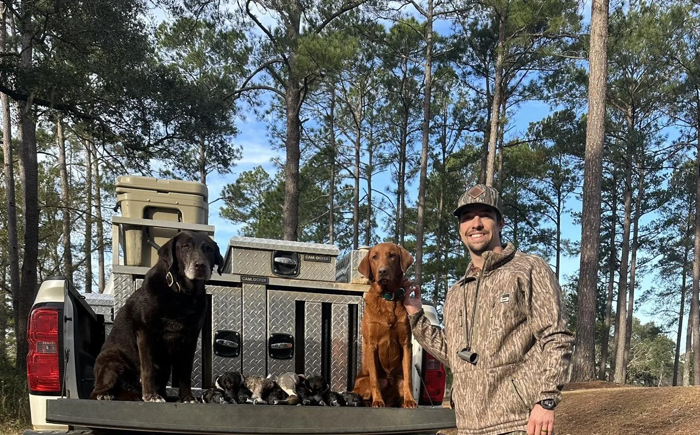 A man in camouflage clothing stands next to a pickup truck with three dogs and several puppies, in a wooded area with tall trees and blue sky.