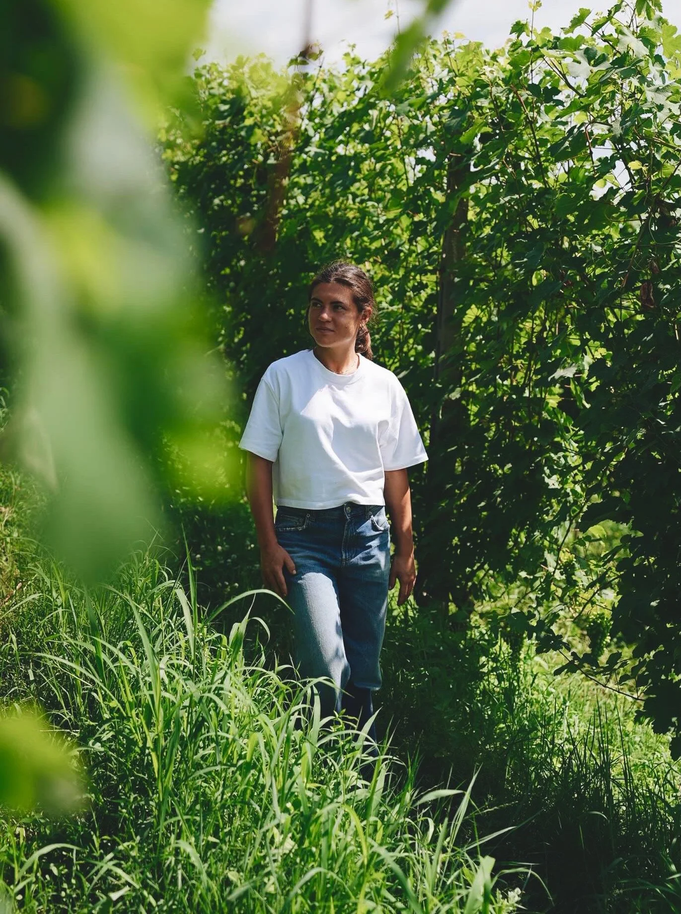 paiagallo barolo.jpeg