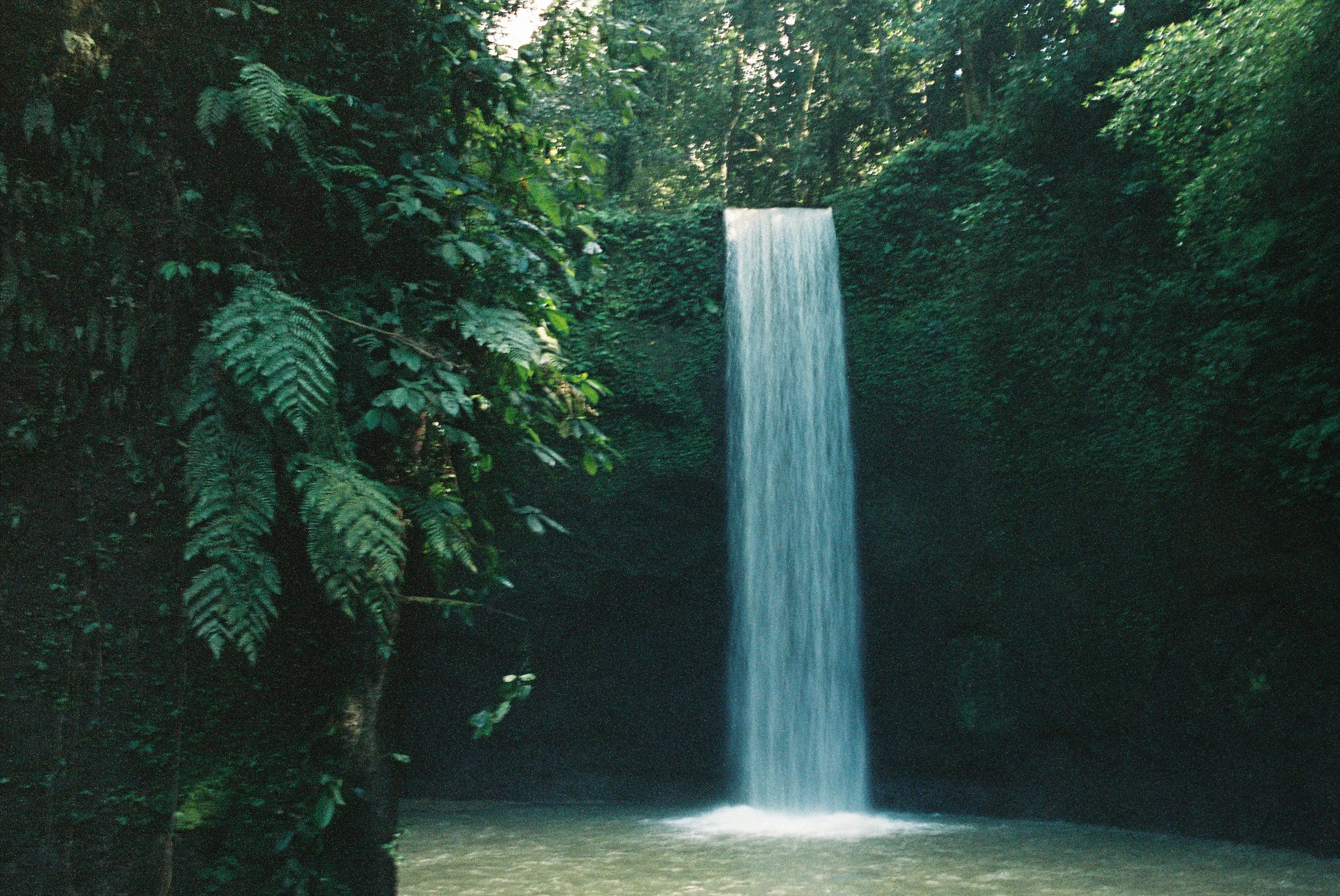 Lee000120-R1-028.JPG