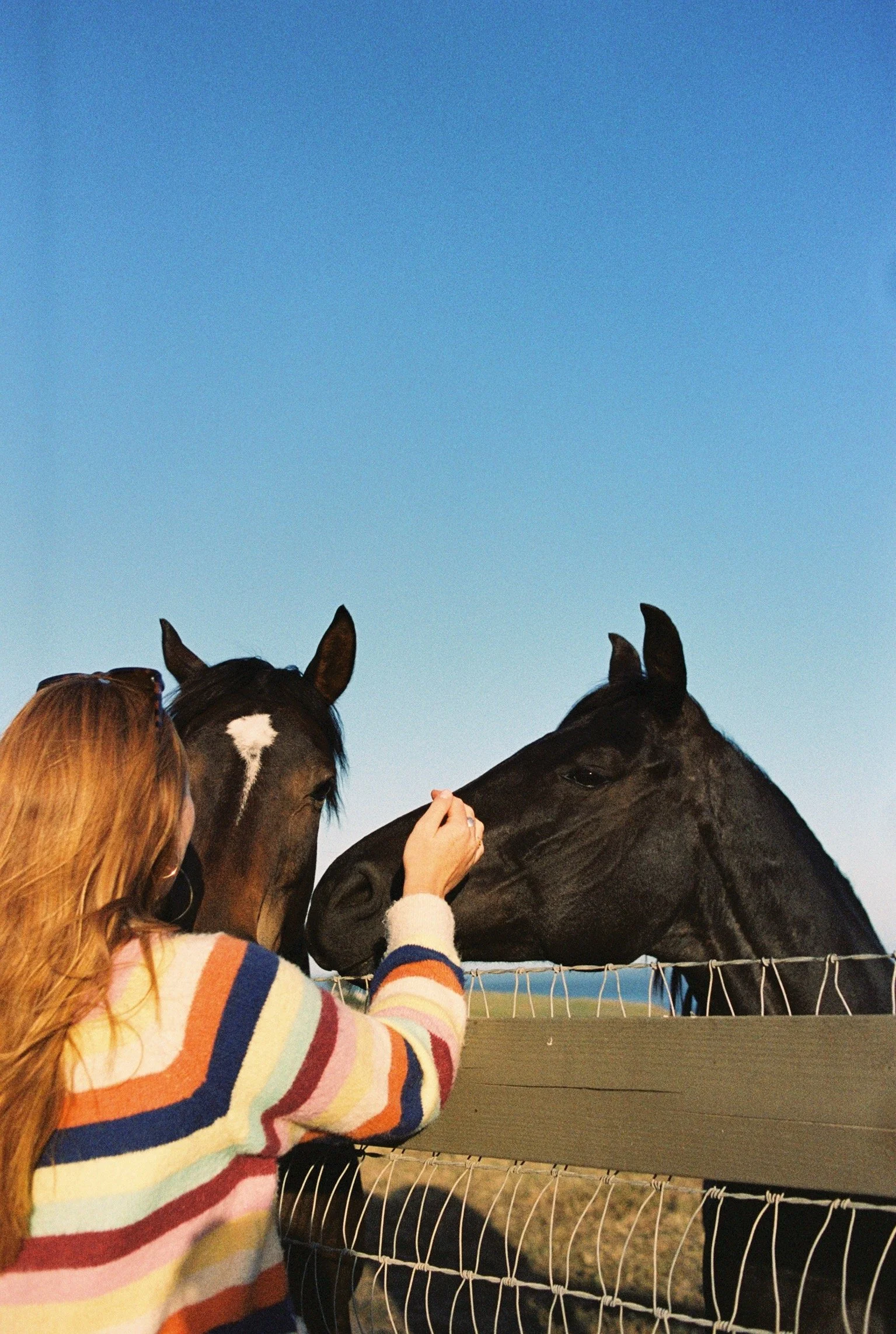 Roll2_136638GL002077-R2-018-7A_VSCO 2.JPG