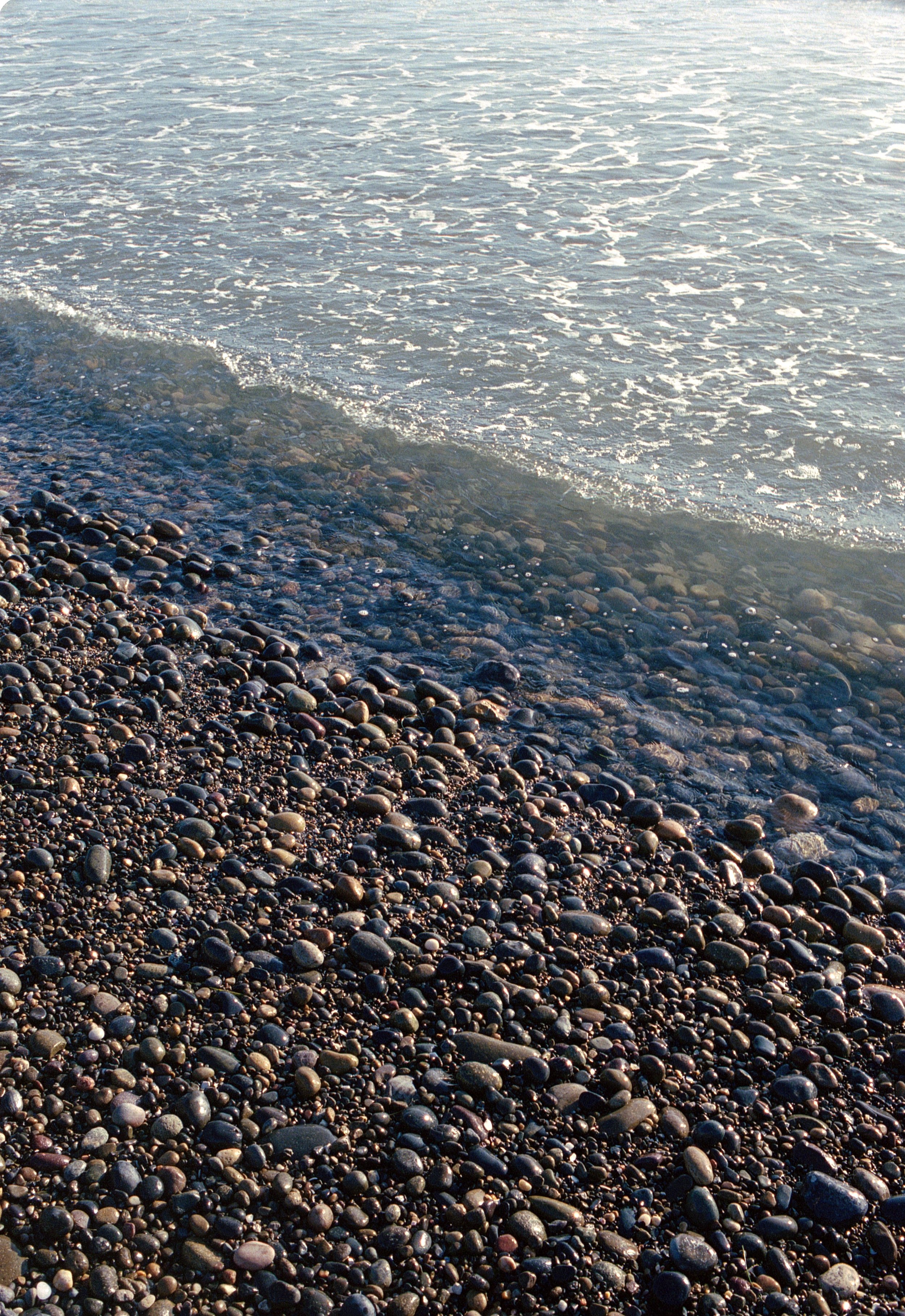 beach wave 1.jpg