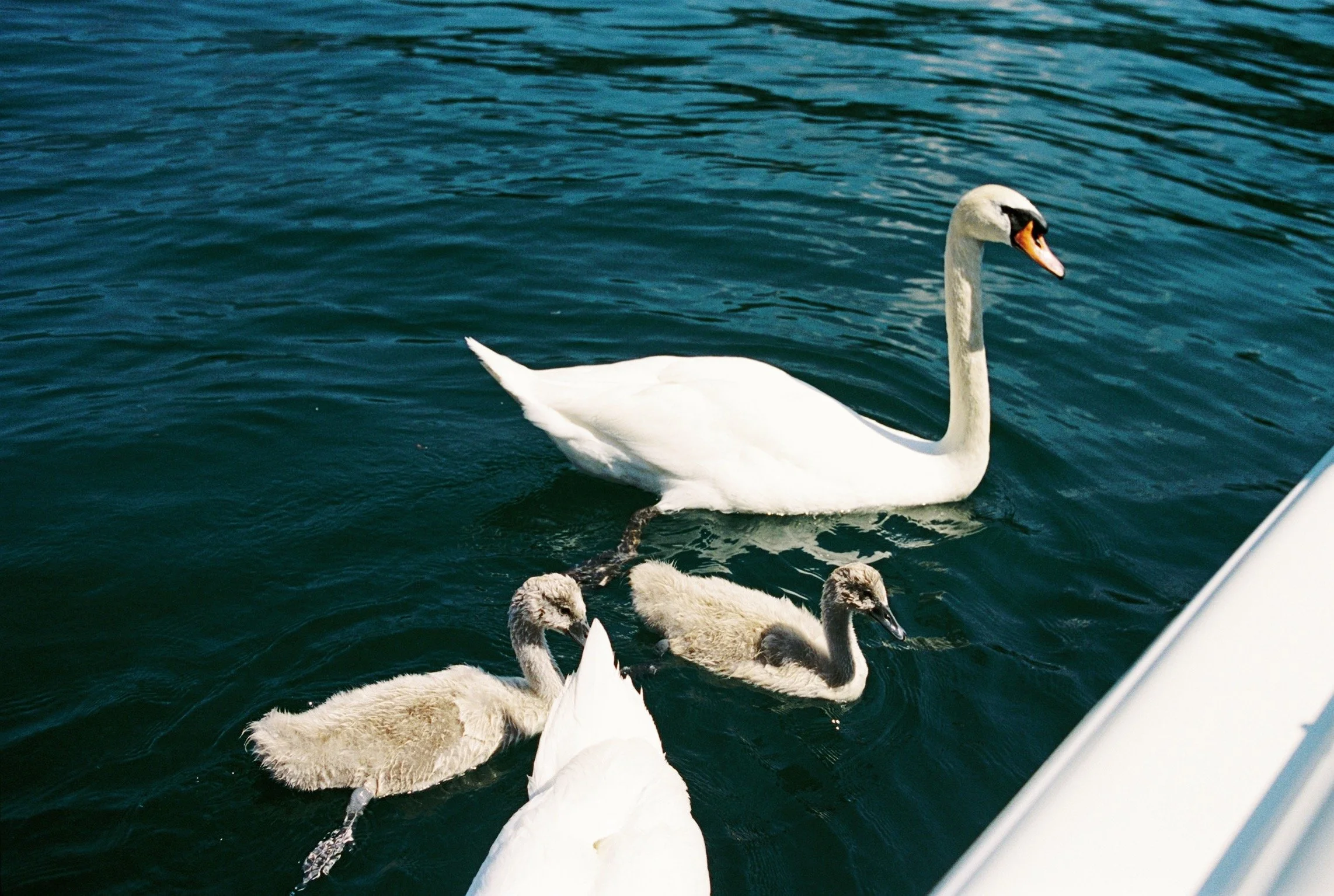 Roll1_136638GL211506-R1-E023_VSCO.JPG