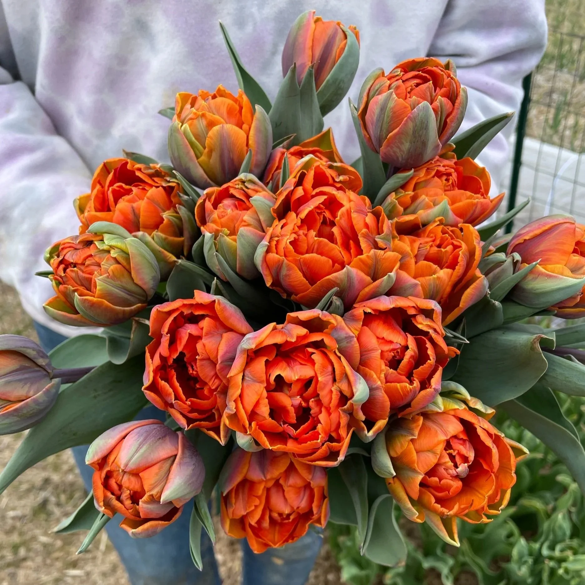 599AD041-1083-4F86-BF5B-F6FC05D96D14.jpg (Copy)