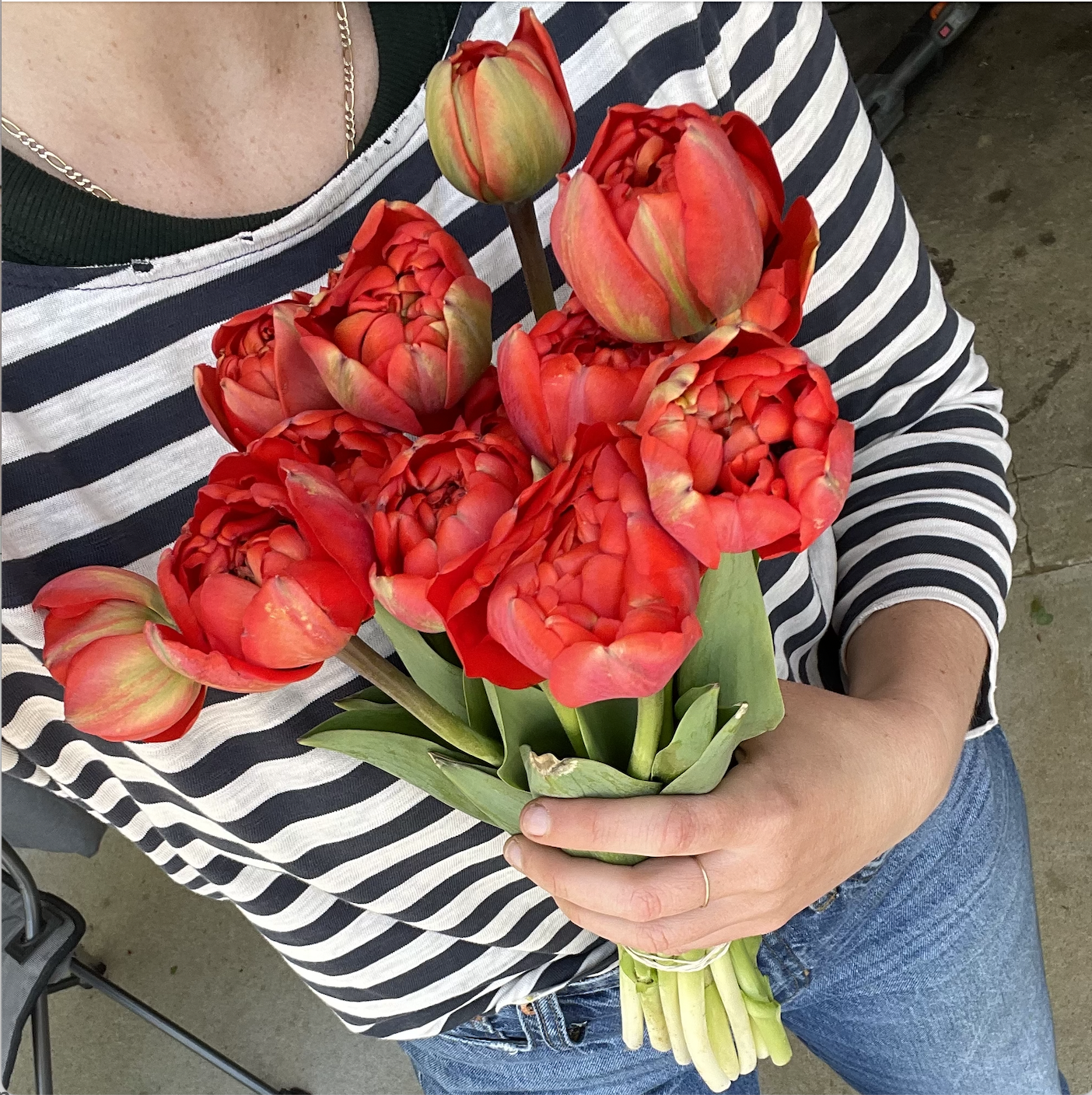 Screen Shot 2026-04-04 at 8.38.19 AM.png (Copy)