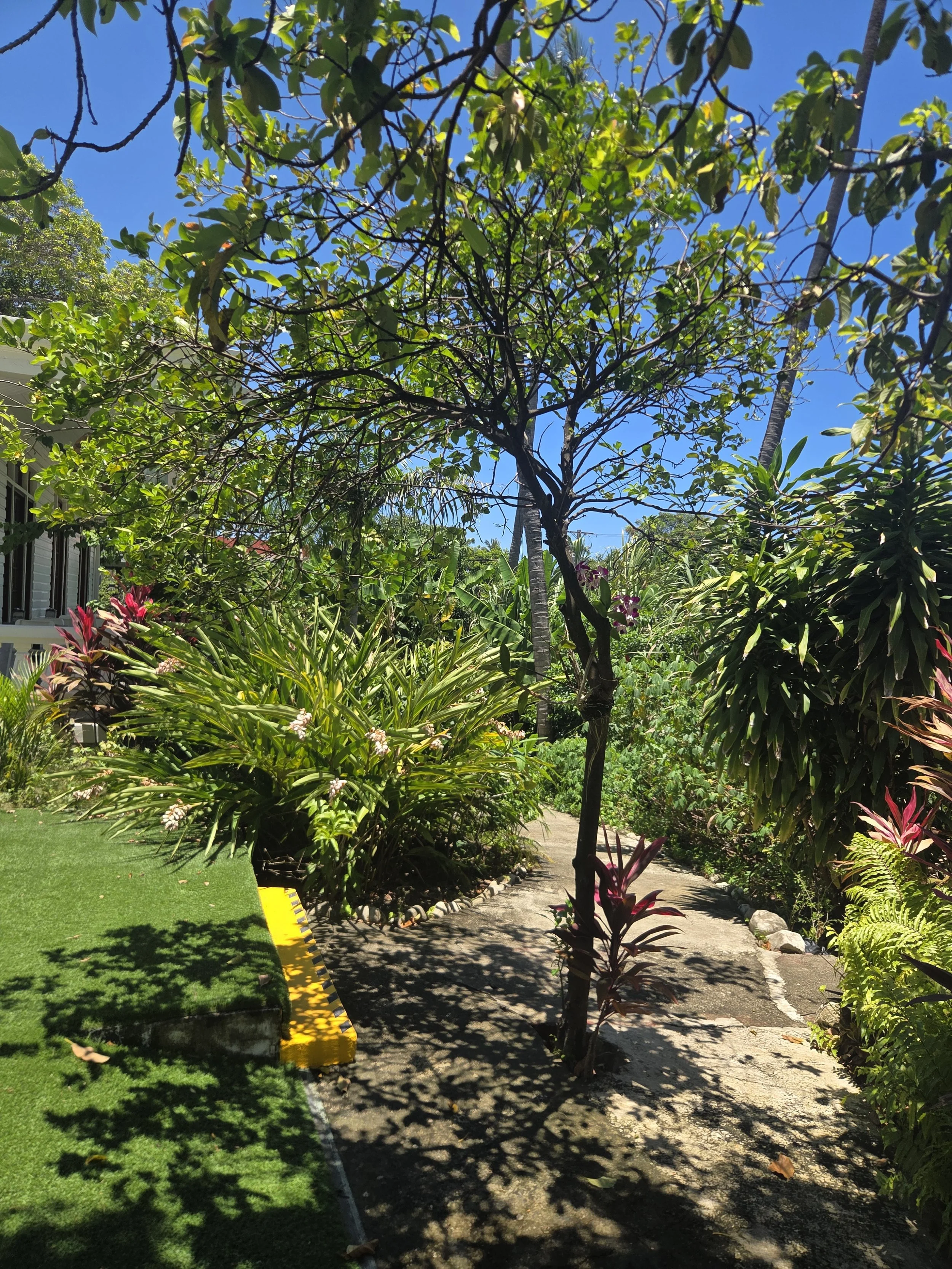 1000009183.jpg