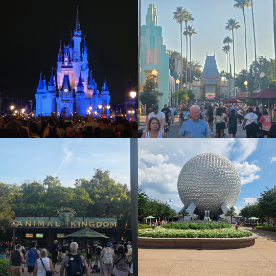 The 4 Park Challenge: I Did It So You Don't Have To