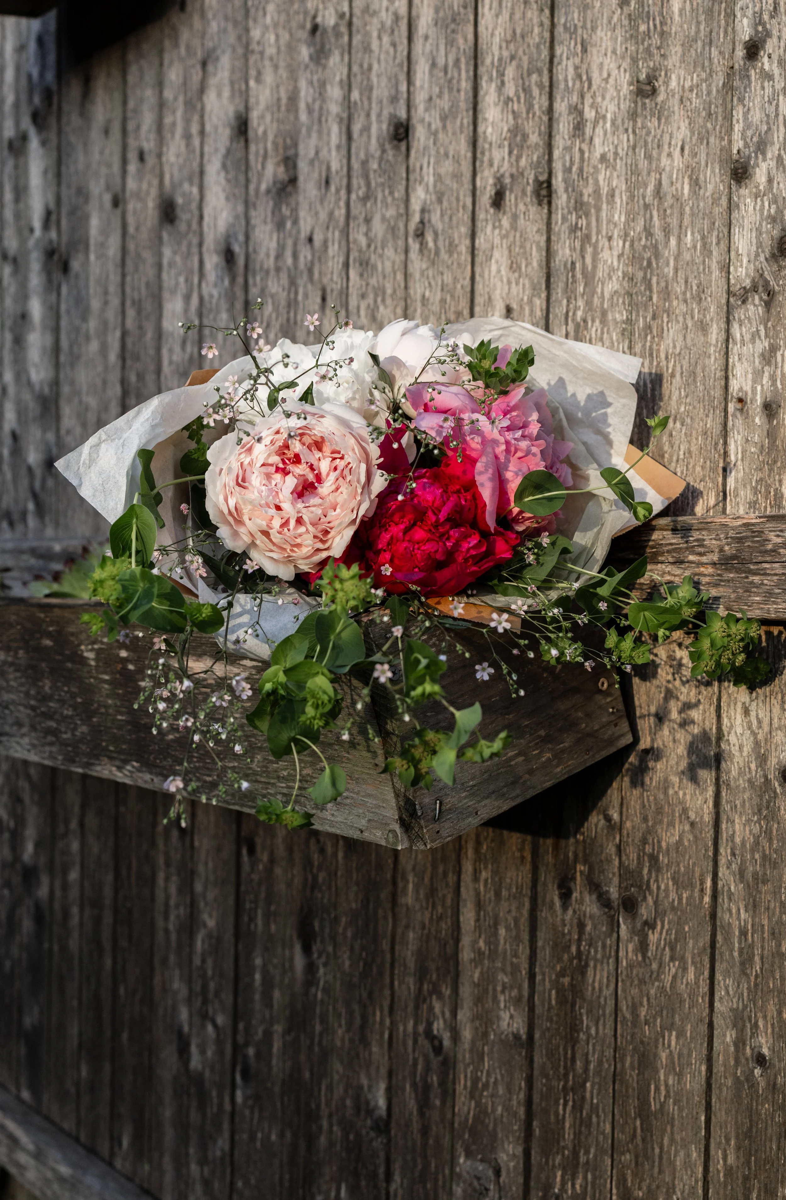 Peony Preorder