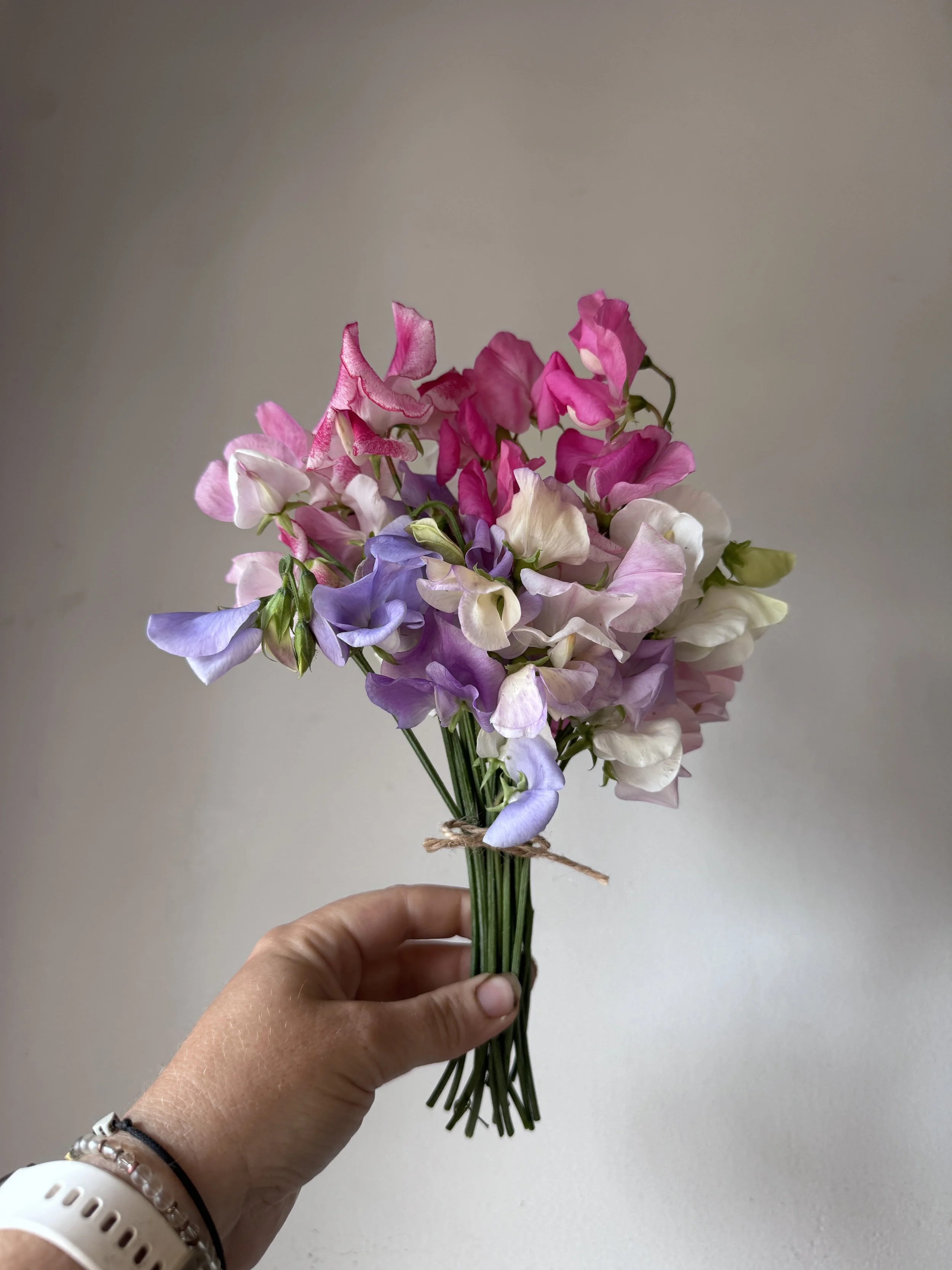 IMG_0992.jpeg