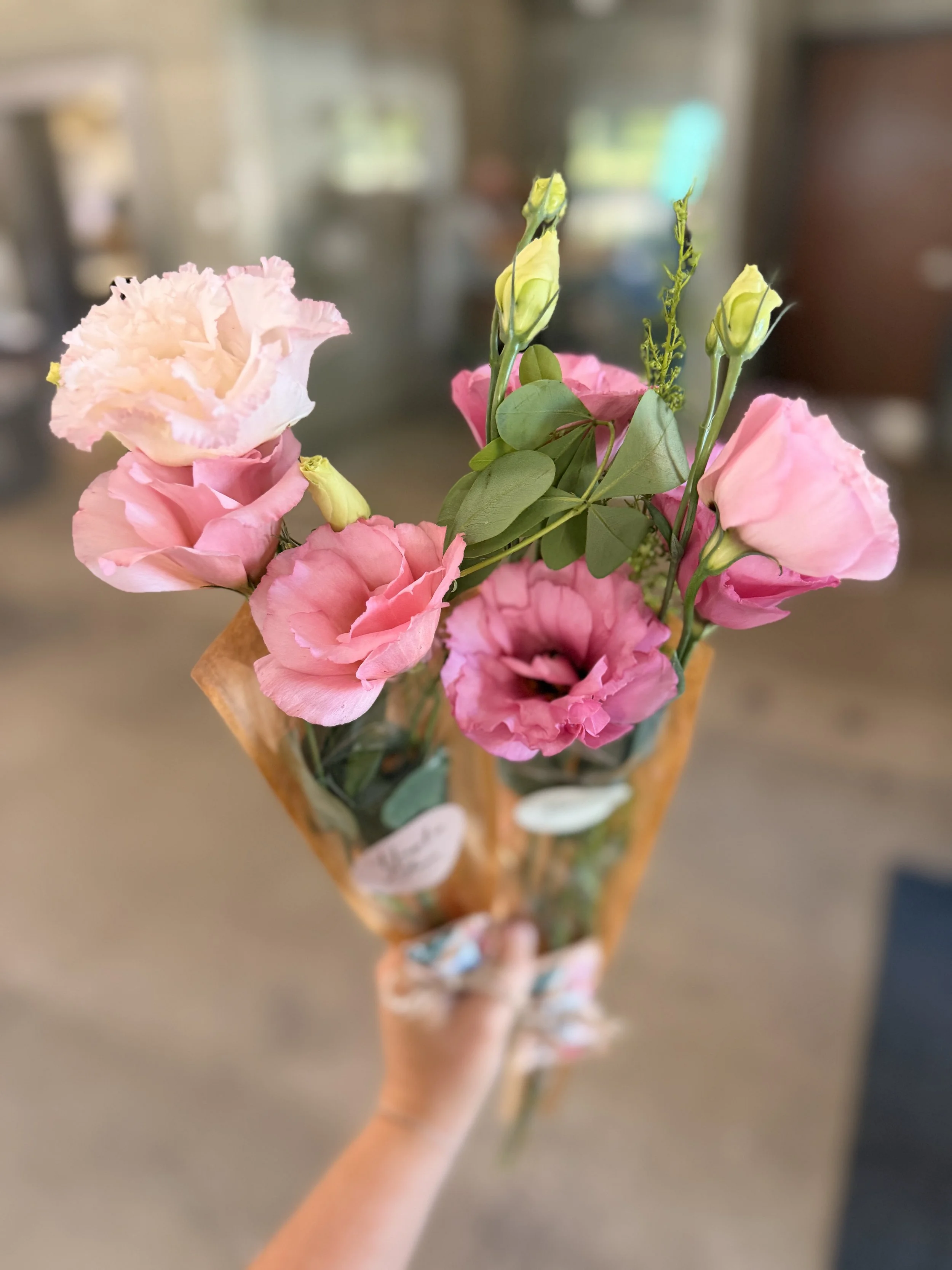 IMG_3286.jpeg