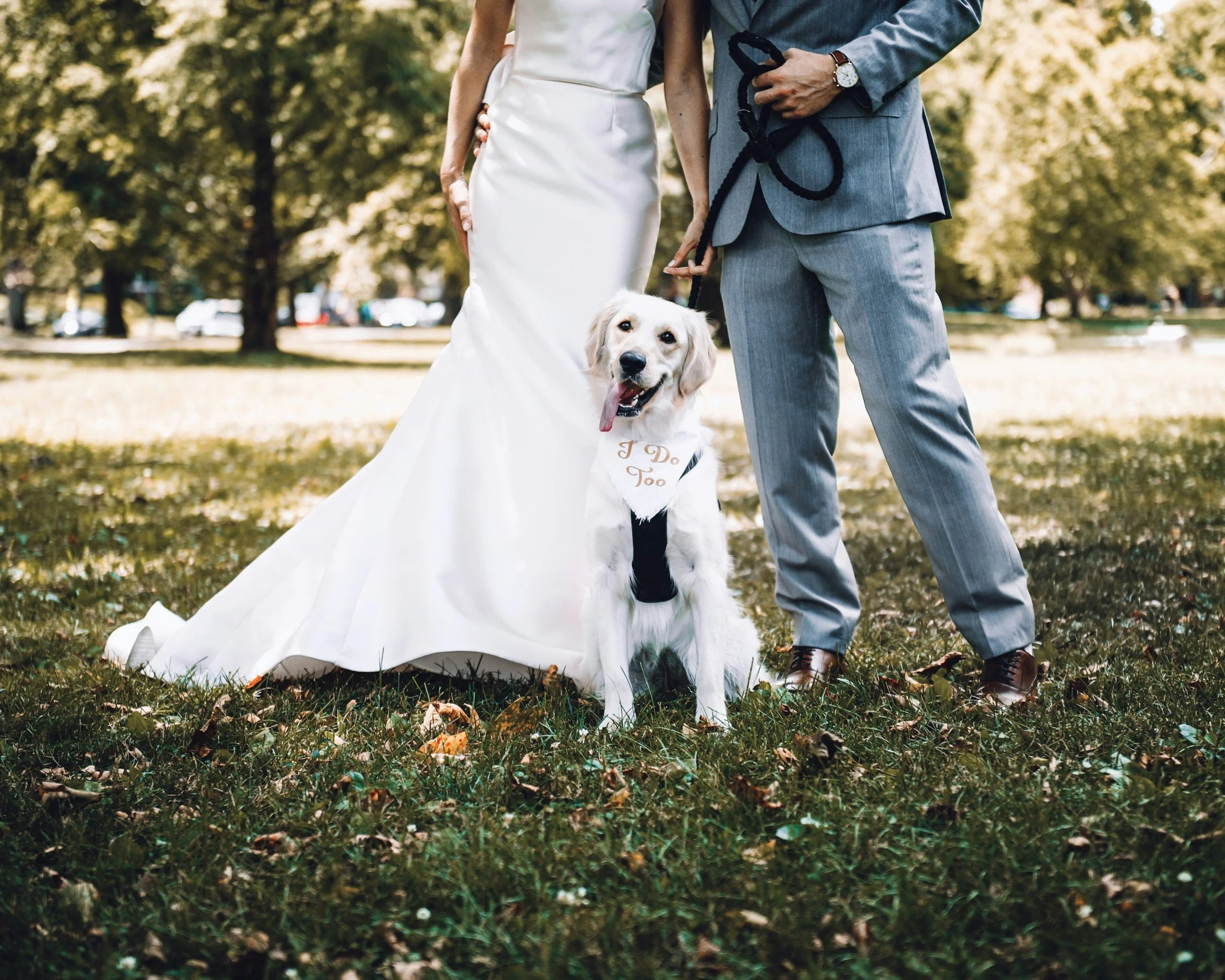 A bride and groom stand outdoors with a golden retriever dog during a wedding, with trees and parked cars in the background.