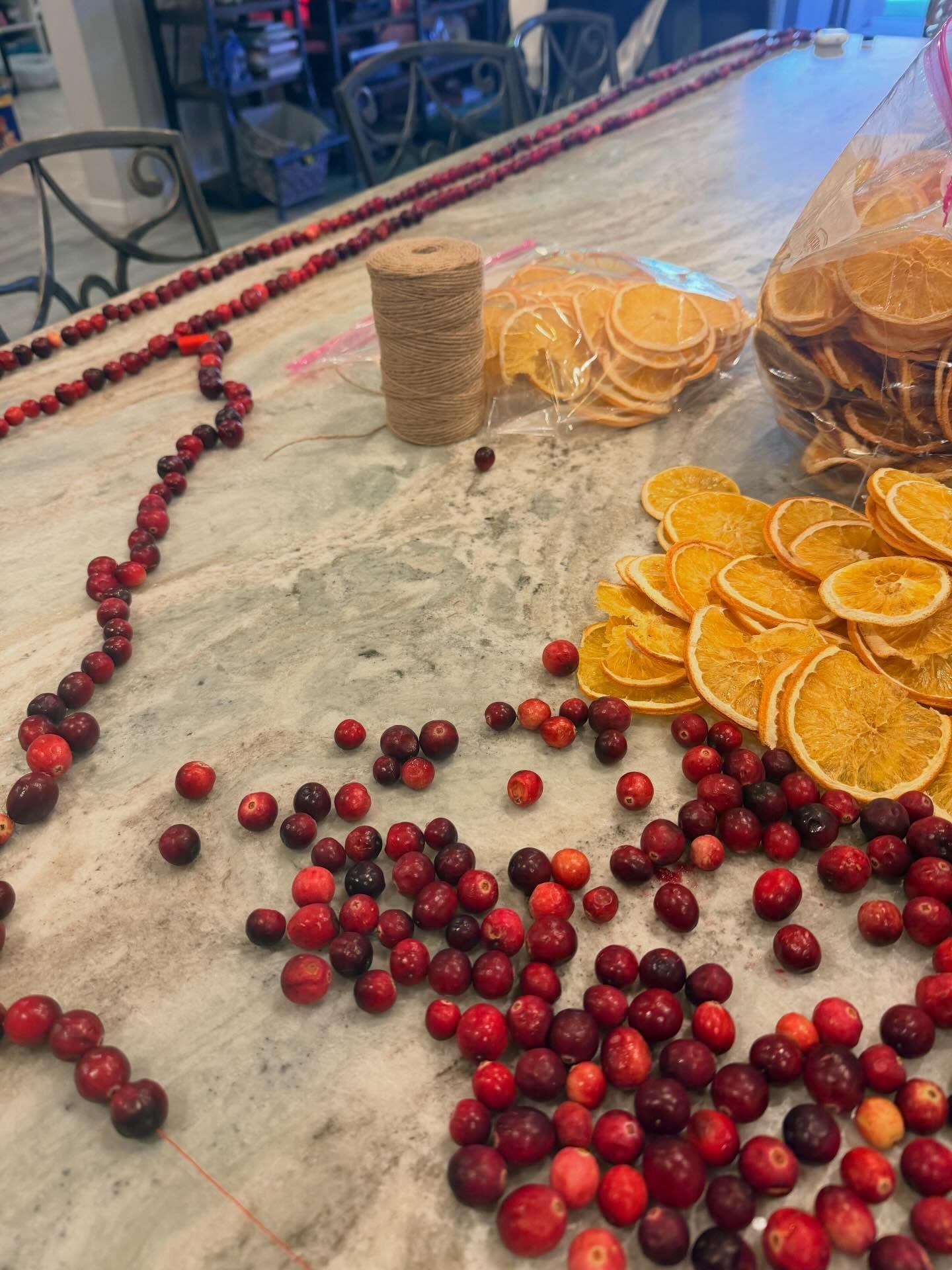 Cranberry garland? Yes.Please.