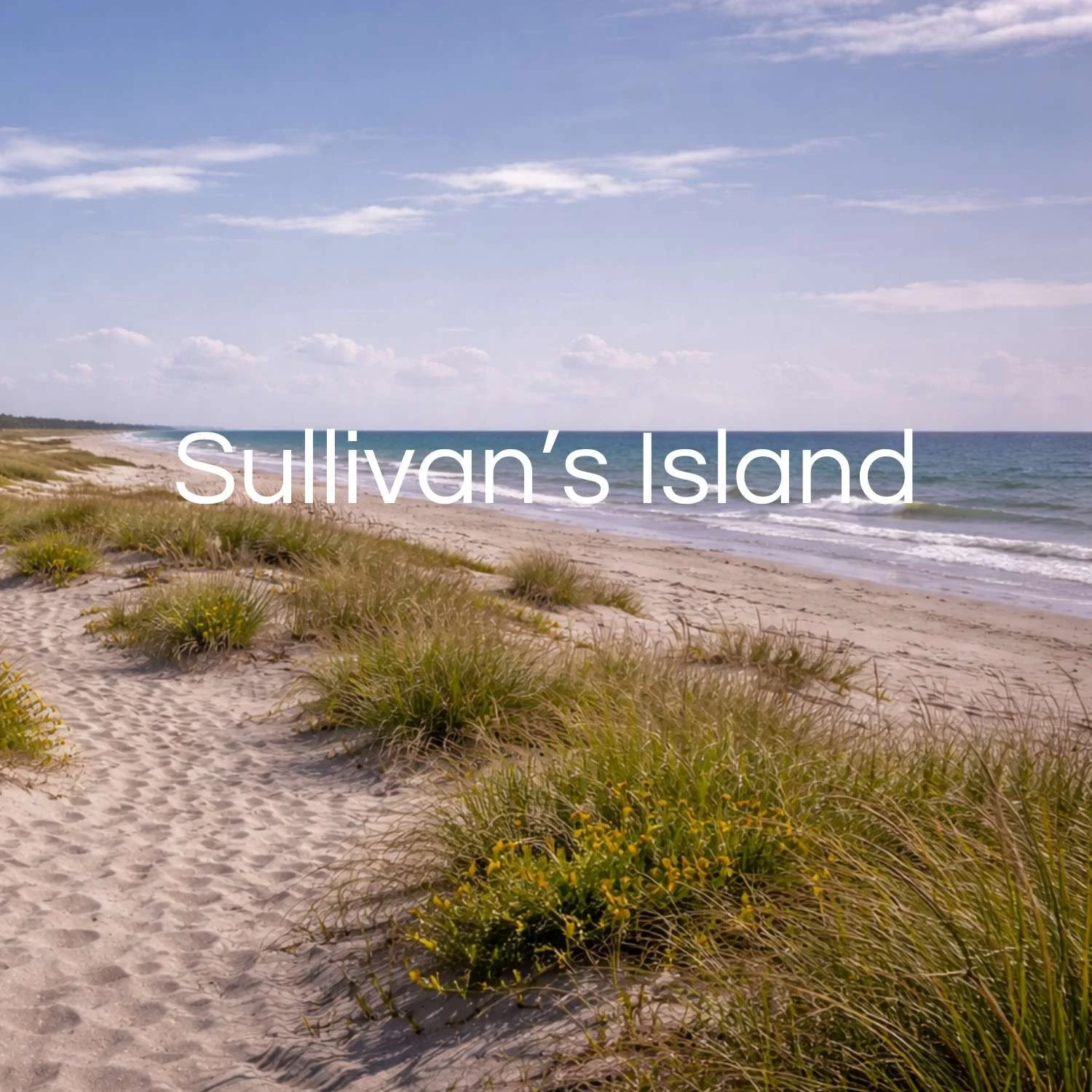 Sullivan's Island Real Estate