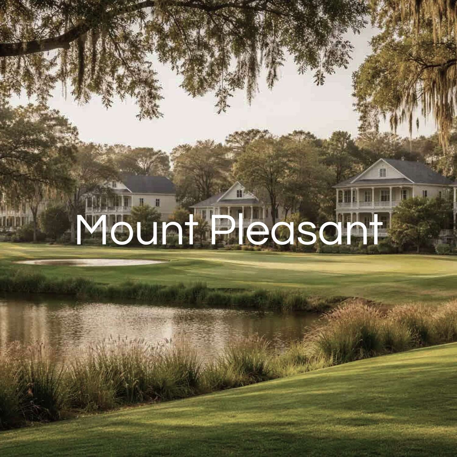 Mount Pleasant real estate agent serving buyers and sellers