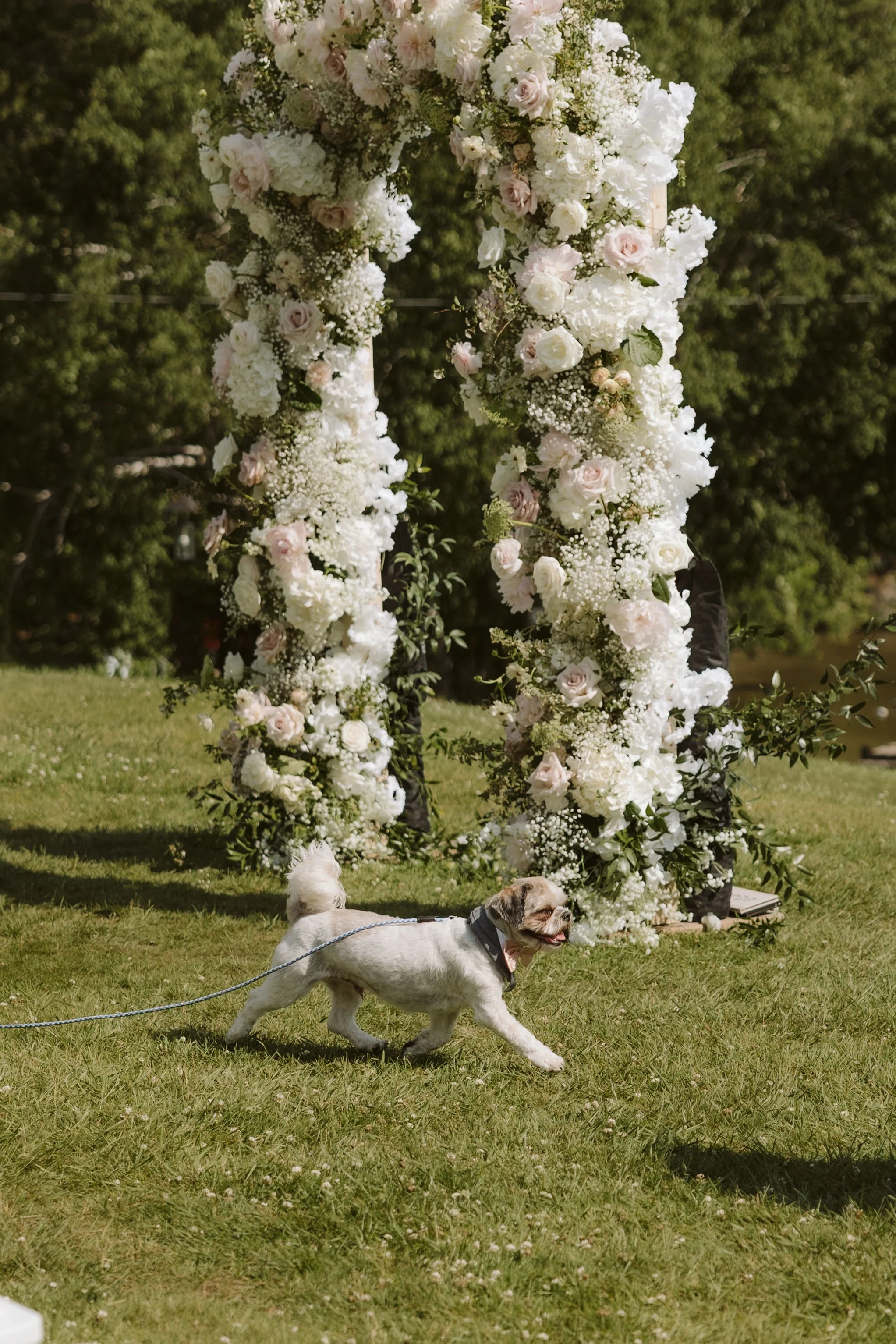 EBP-S+V-Wedding2025-314.jpg