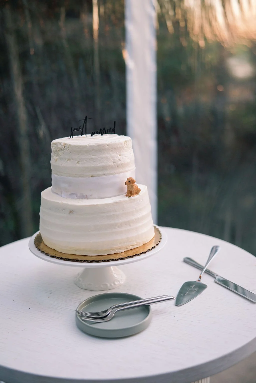 Cake jamie.jpg