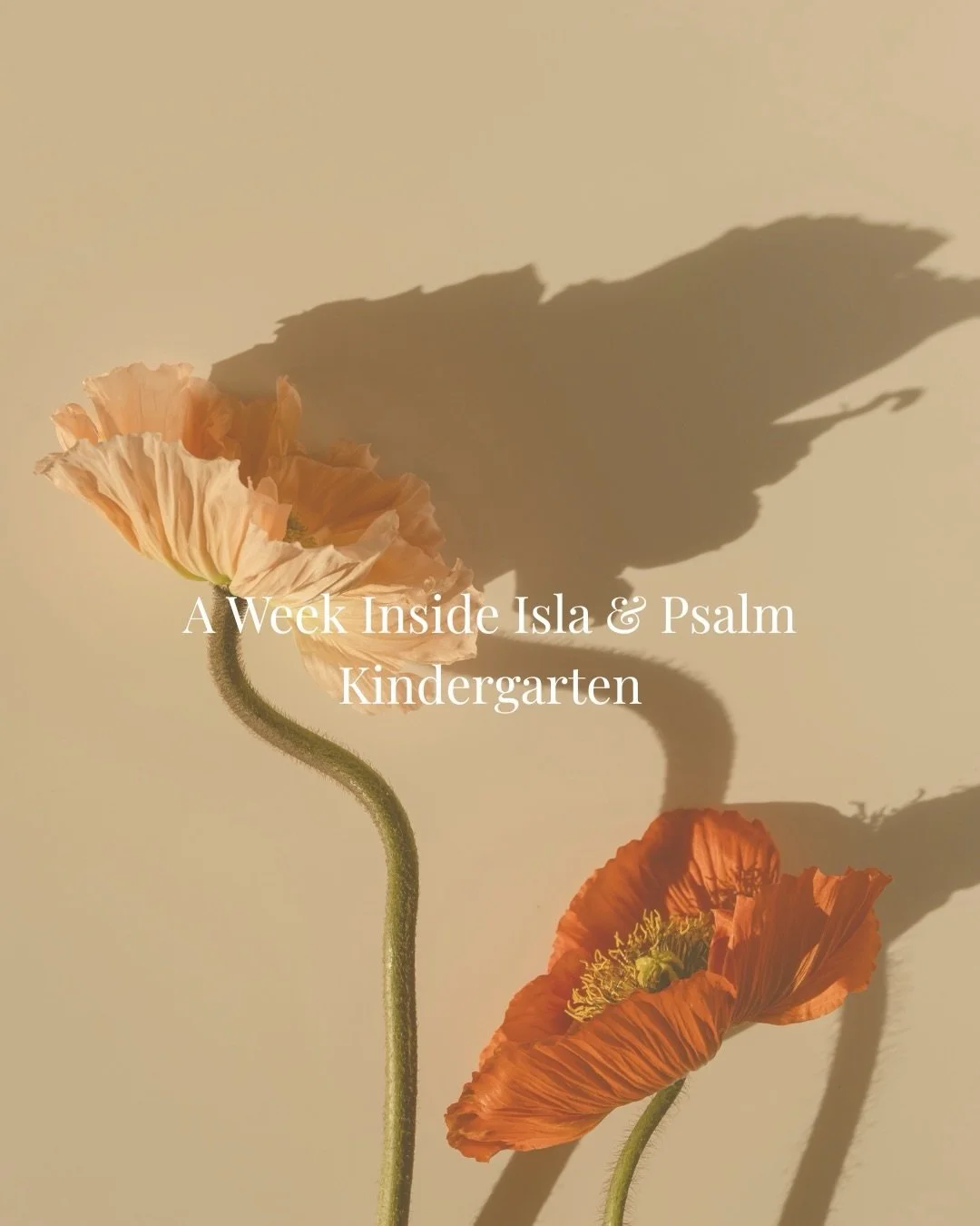 We wanted curriculum to feel calm.

Not overwhelming.
Not cluttered.
Not disconnected from real childhood.
Not separate from faith.

Just thoughtful, beautiful, intentional learning that helps parents confidently guide their children at home. 🤍

Pre