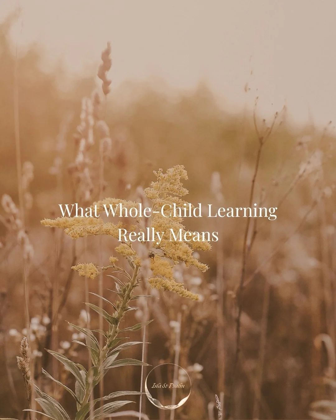 Whole-child learning isn&rsquo;t a buzzword. It&rsquo;s what happens when you stop treating education as a checklist and start treating it as formation.

Here are 5 signs you&rsquo;re already doing it &mdash; even on the hard days.

🤍Save this for a