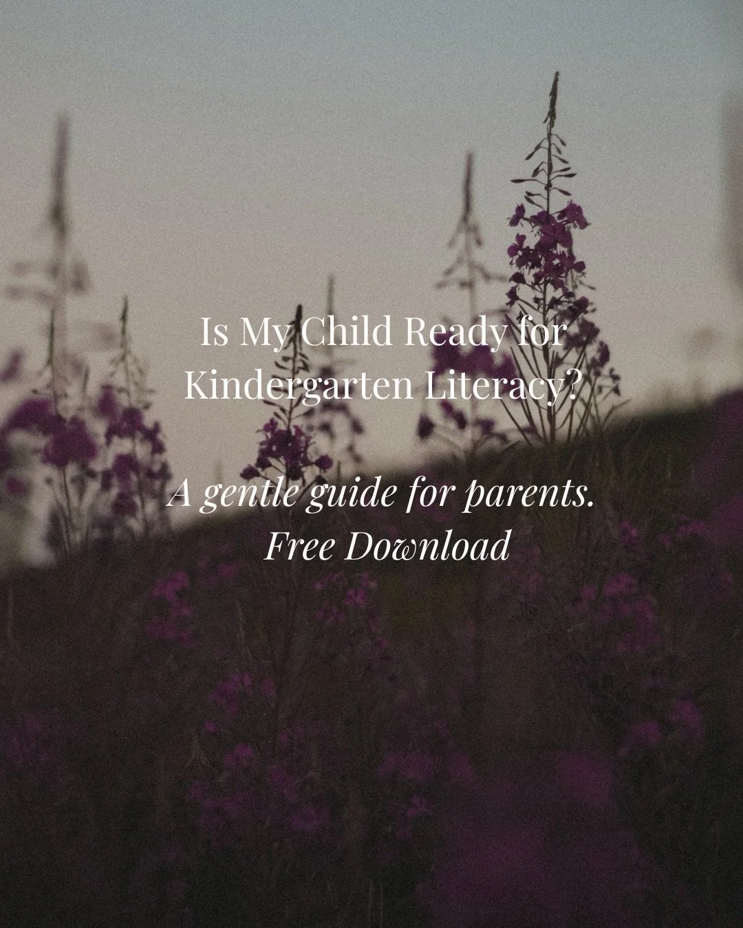 &ldquo;Am I doing enough?&rdquo;

It&rsquo;s a question many parents quietly carry.

We created this free Literacy Readiness Guide to offer a little clarity and encouragement along the way.

Not as a test.
Not as a comparison.

Simply a gentle tool t