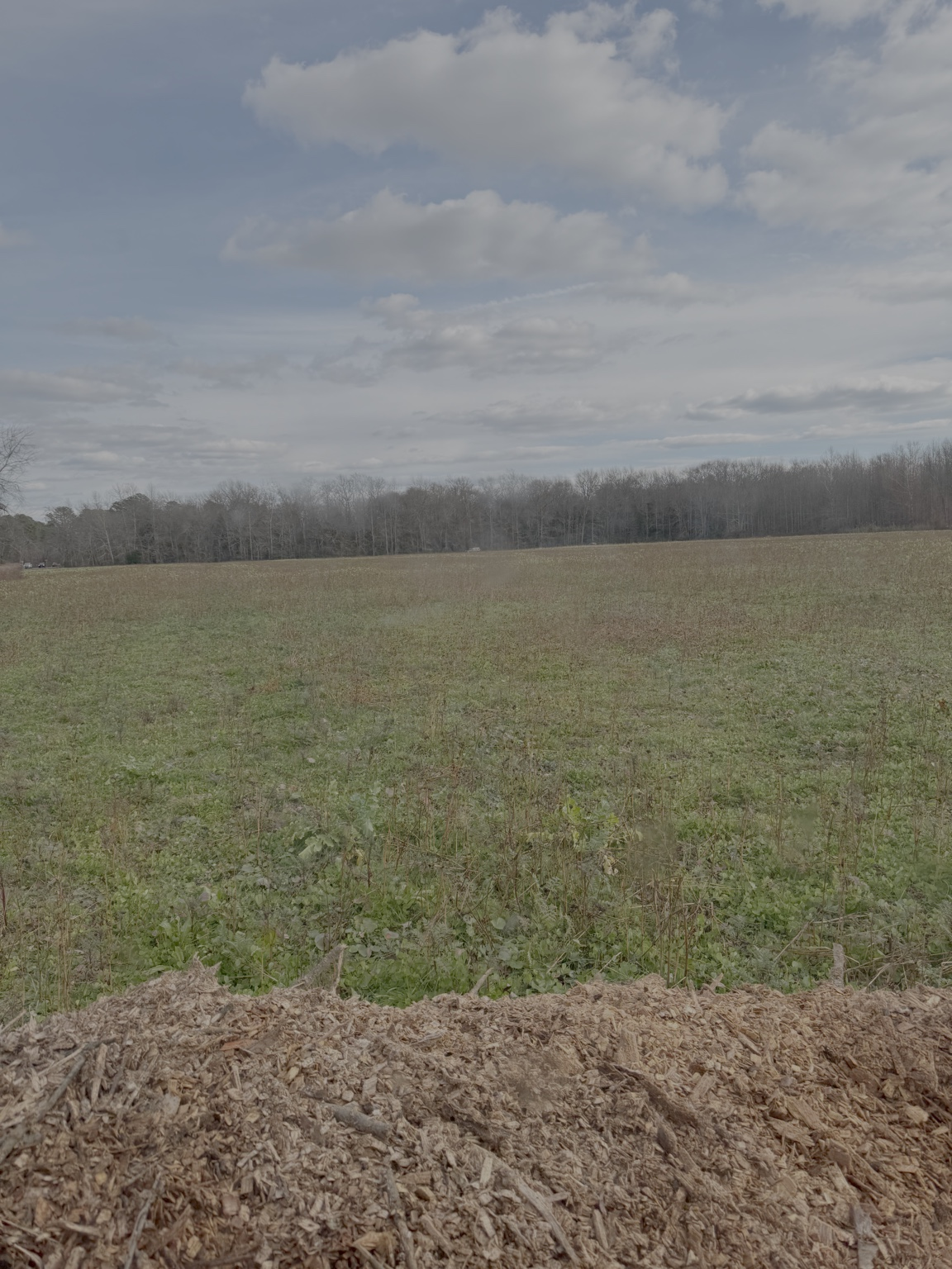 A wide open field with dirt in the foreground, green grass in the middle, and trees on the horizon under a cloudy sky.