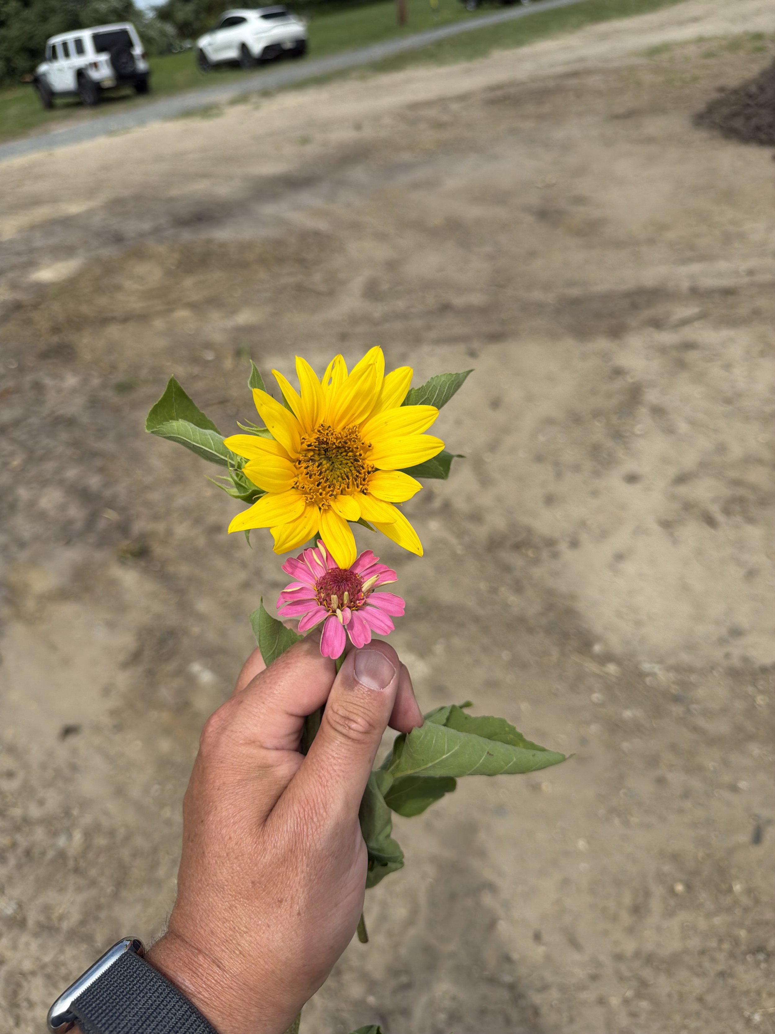 IMG_0118.jpeg