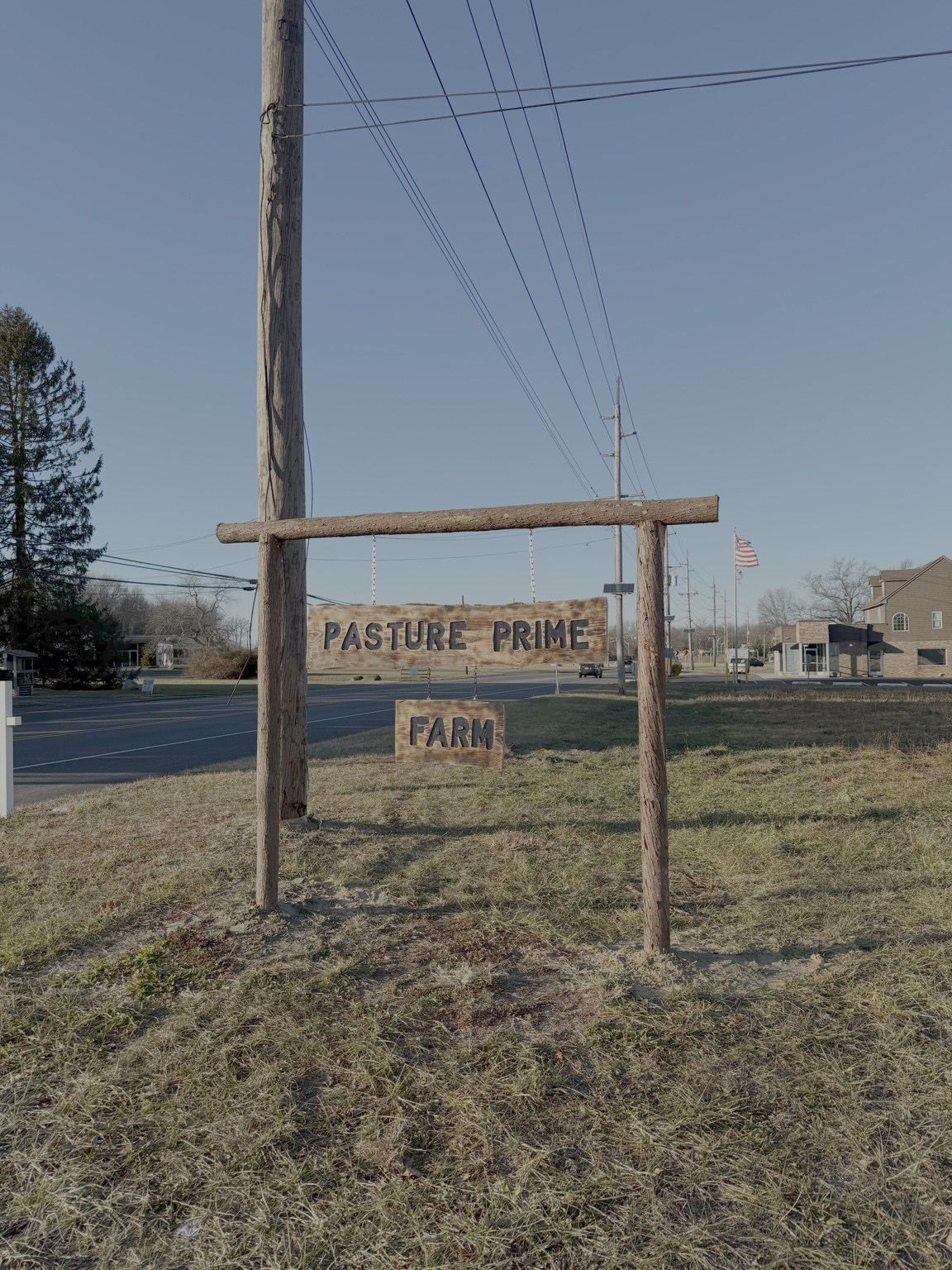 We are Official- Thanks Mikes