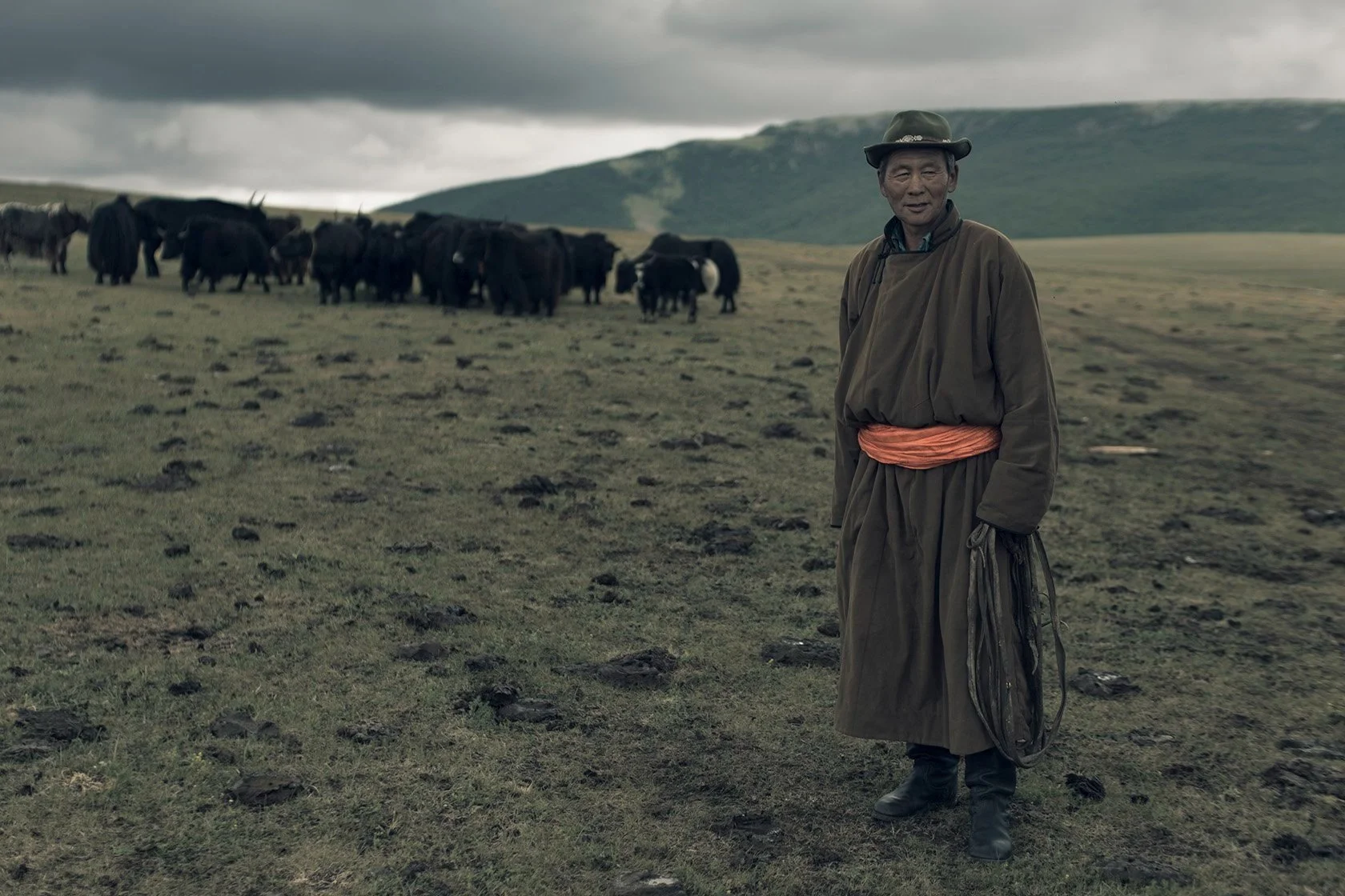A person dressed in traditional Mongolian attire standing on a grassy plain, with a herd of yaks in the background and hills under a dark, cloudy sky.
