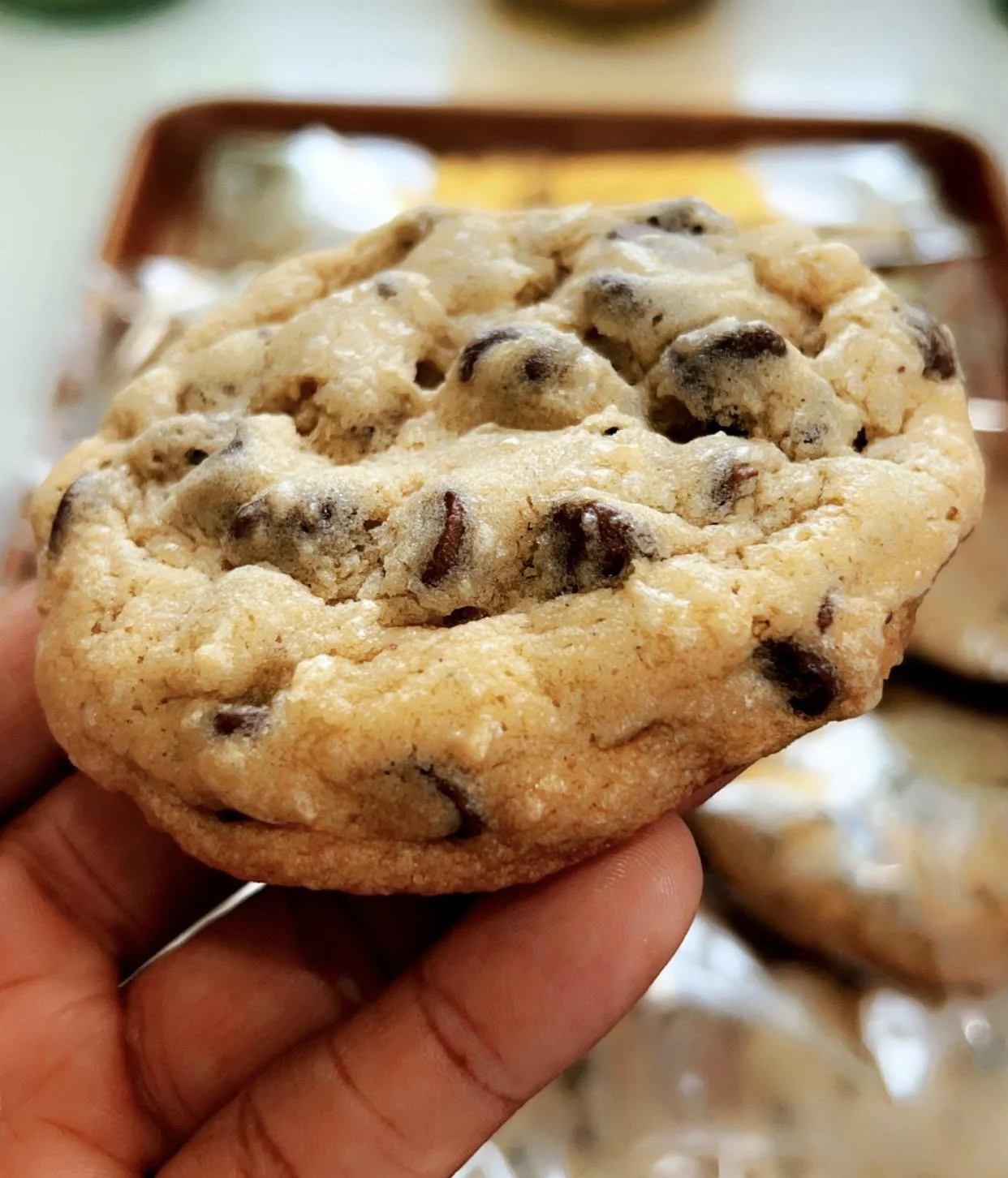 Chocolate Chip Cookie