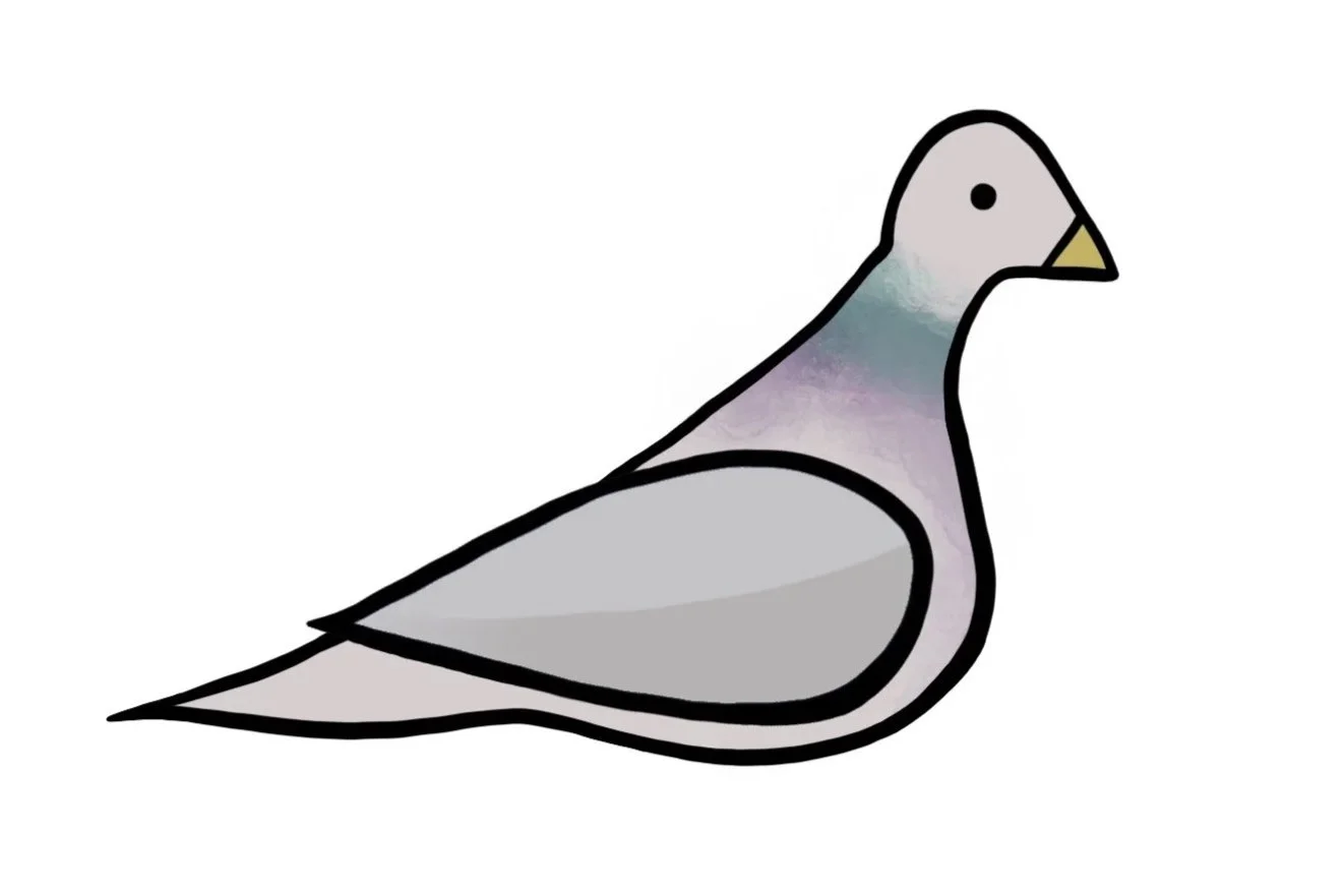 BasicPigeon.jpg