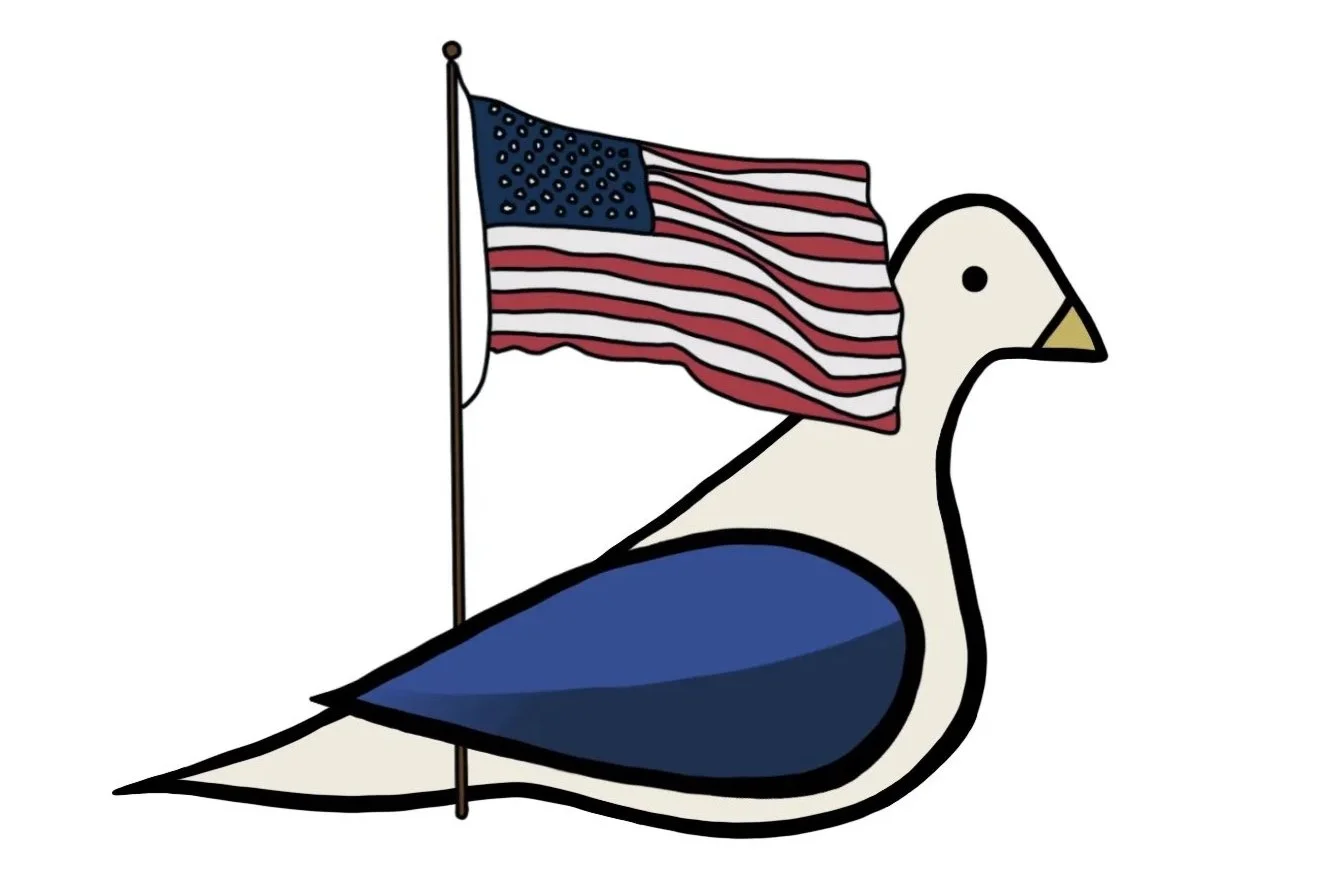 STUDIO149-SF-America-Pigeon.jpg