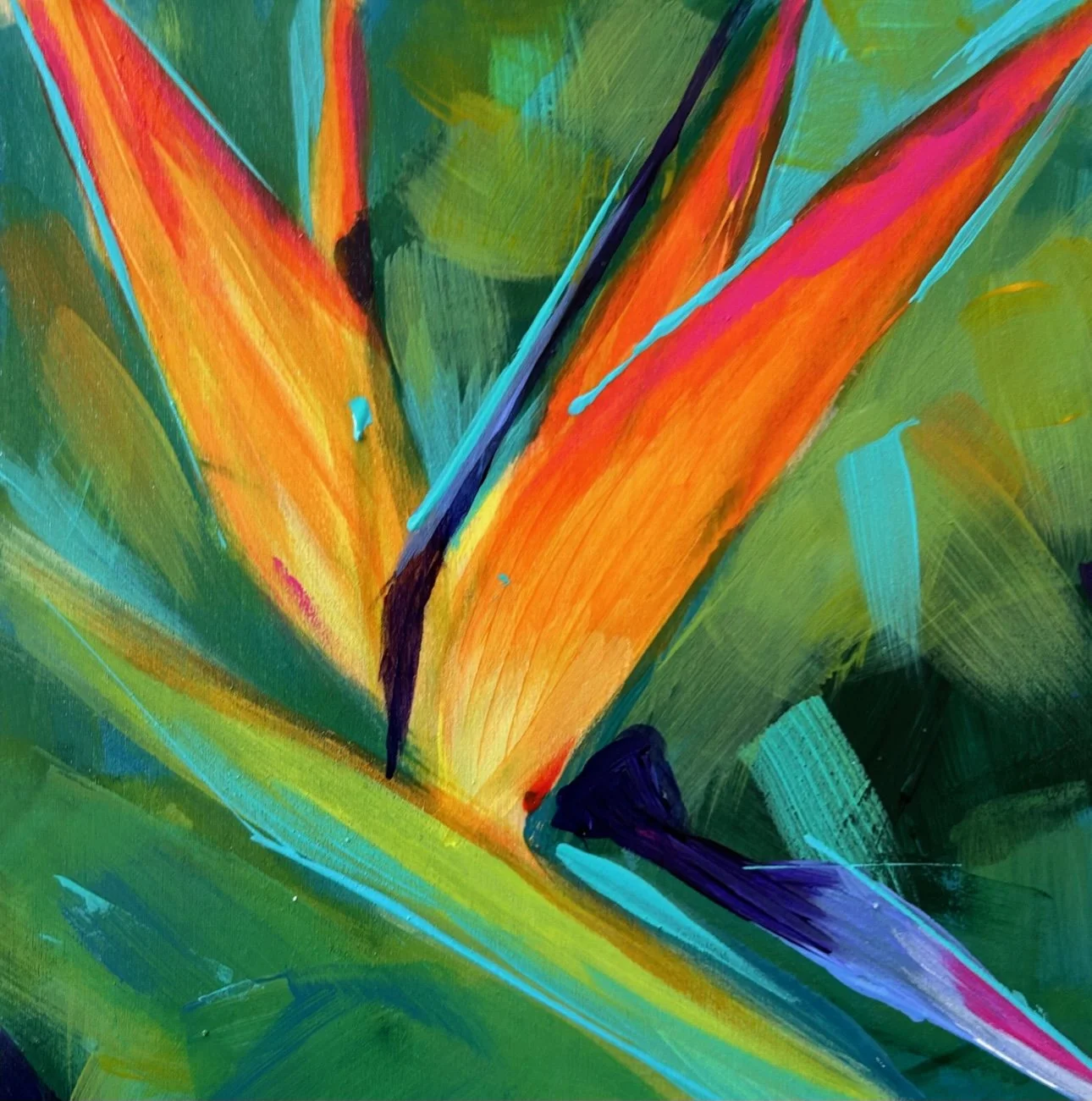 Bird of Paradise.jpg