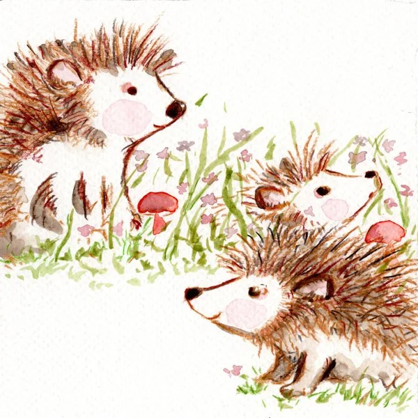 STUDIO26-SM-Hedgehogs.jpg