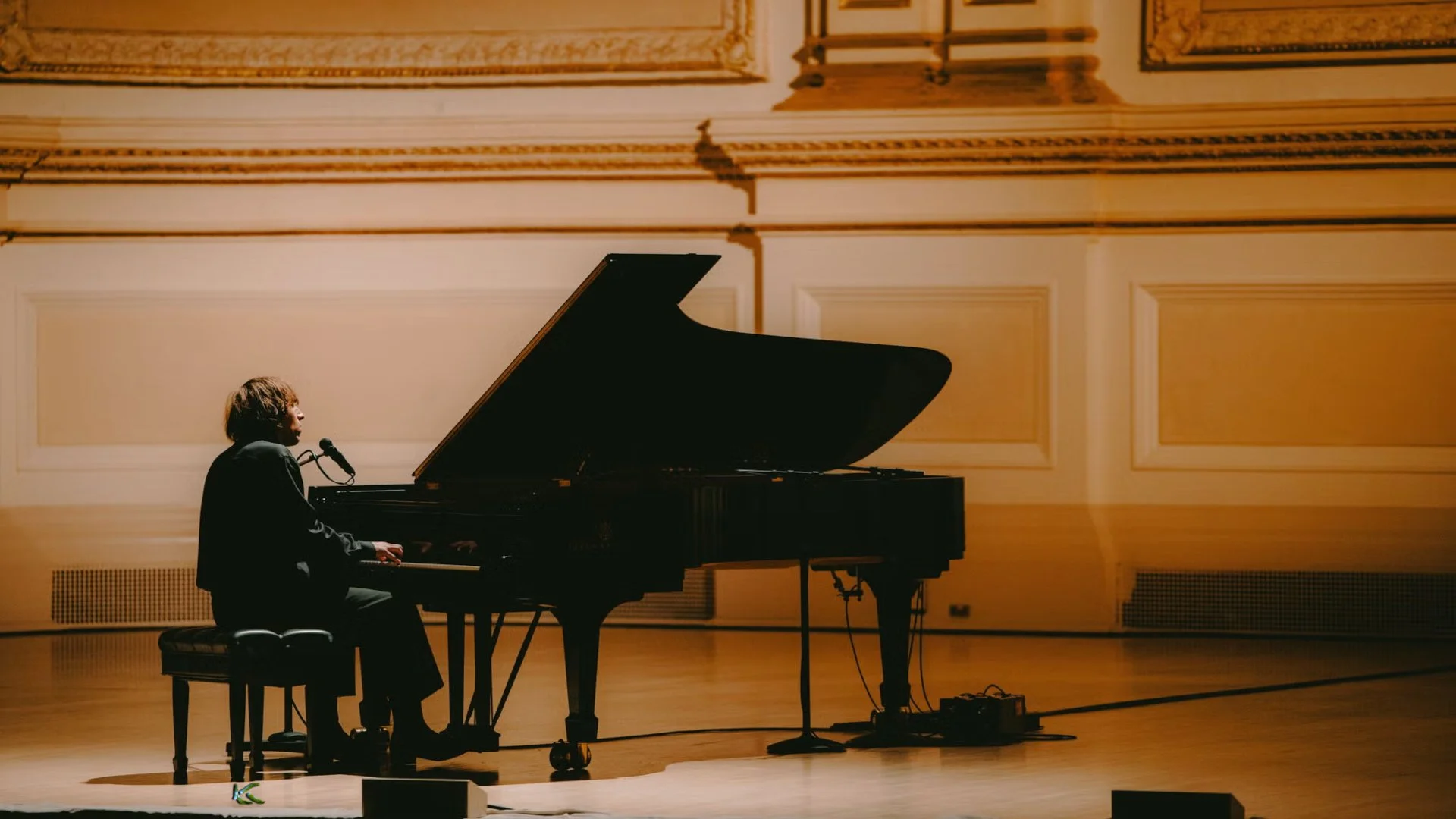 Geese Defecates in Carnegie Hall