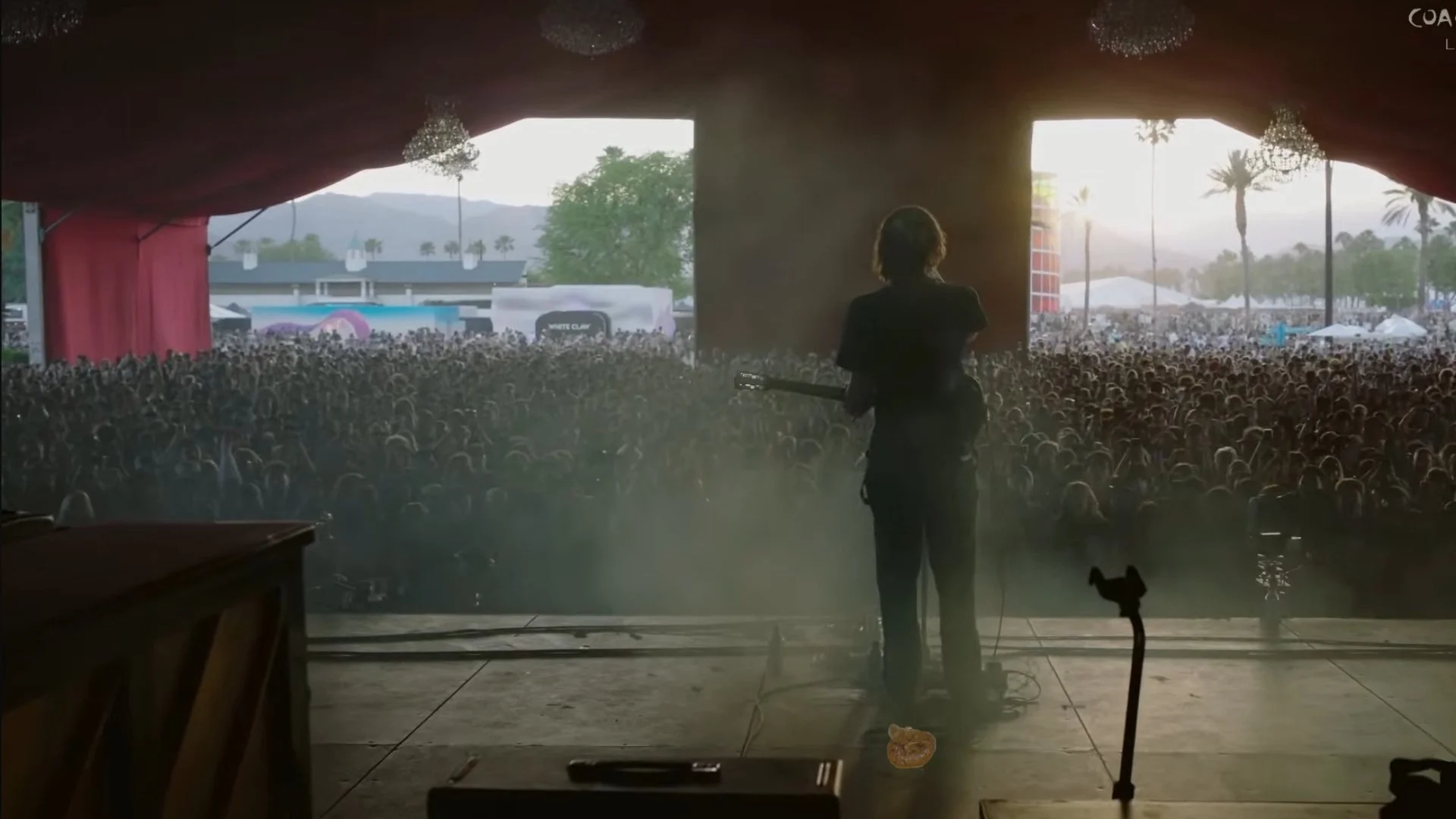 Geese Defecates at Coachella