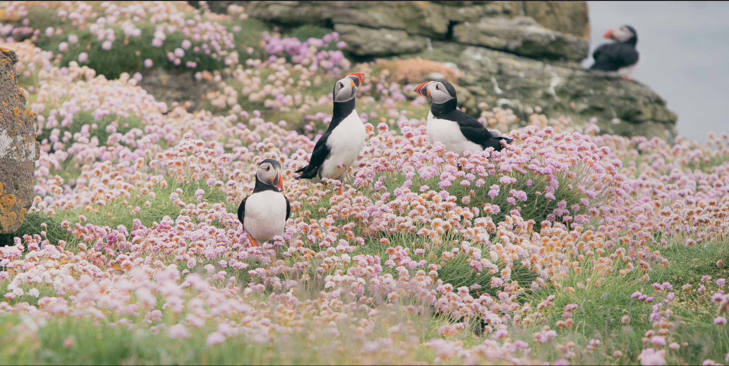 Screenshot 2024-12-03 at 4.56.54 PM.png