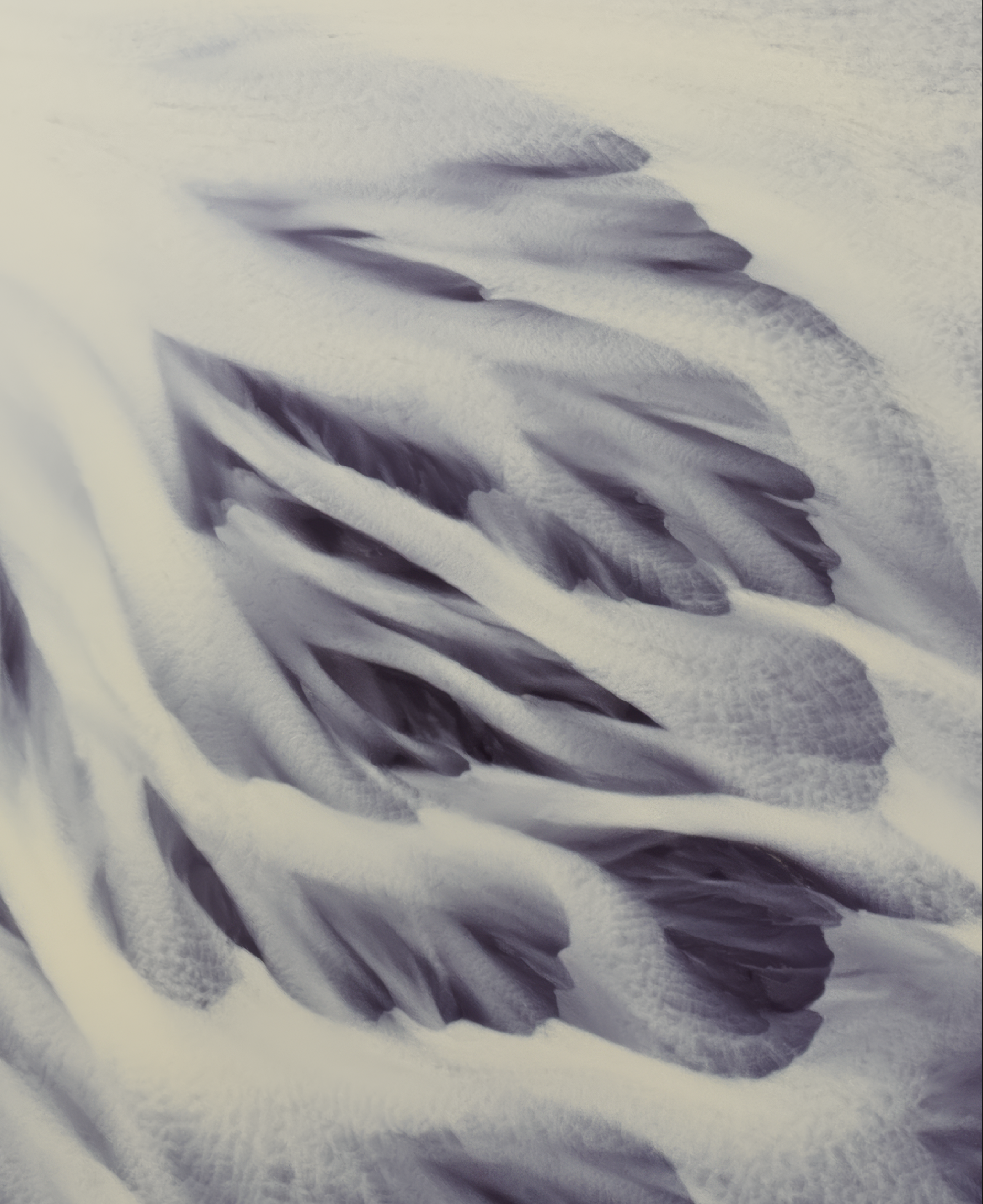 Screenshot 2026-03-18 at 6.53.03 PM.png