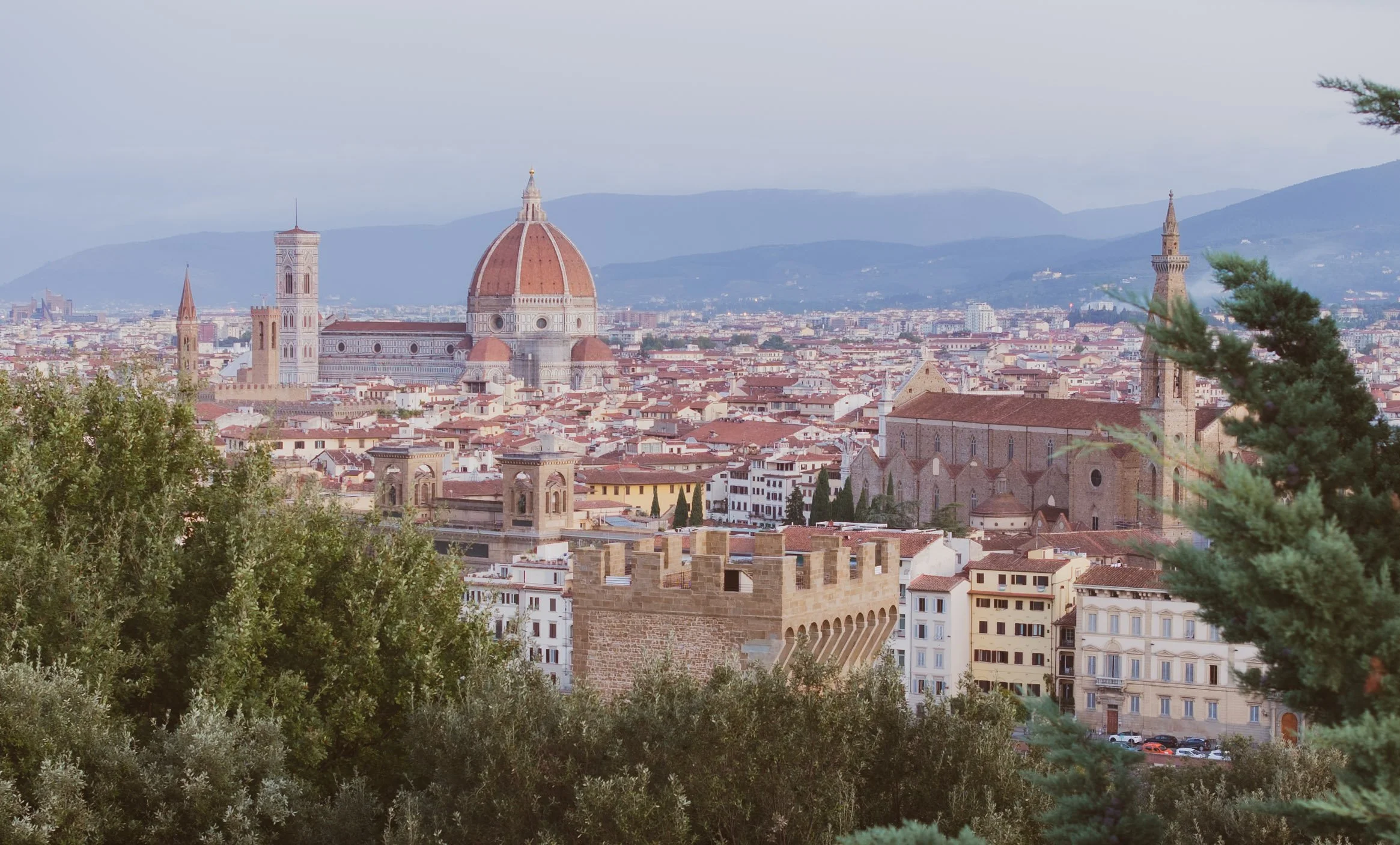 The Collector's Card Set - (12) ITALY