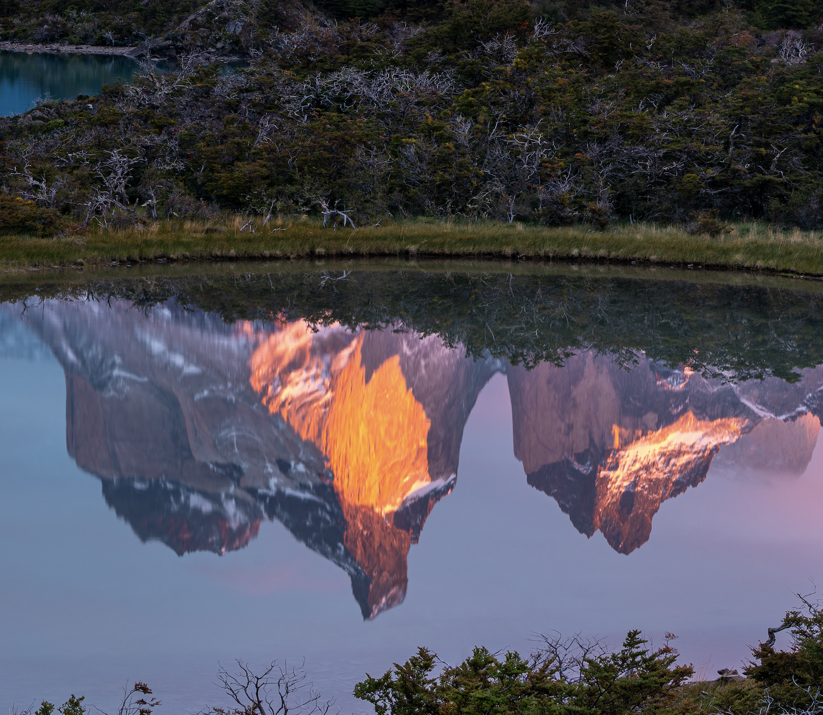 Screenshot 2026-03-28 at 11.39.54 AM.png