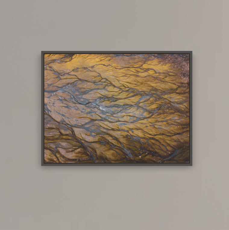 SfS_Screenshot 2026-03-14 at 5.08.50 PM.png.PNG