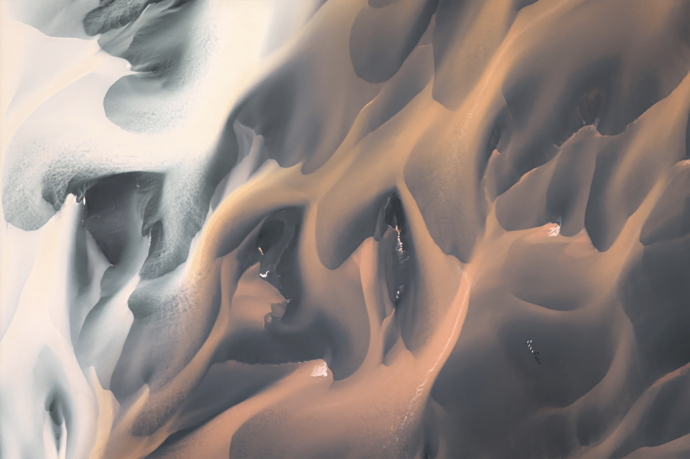 Screenshot 2026-03-25 at 5.19.15 PM.png (Copy)