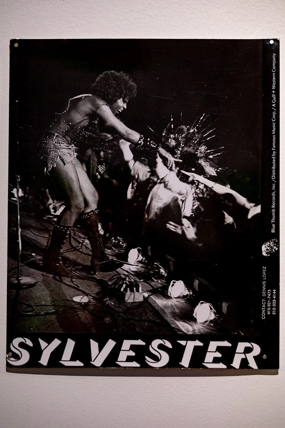 Queen of the Disco-47.jpg