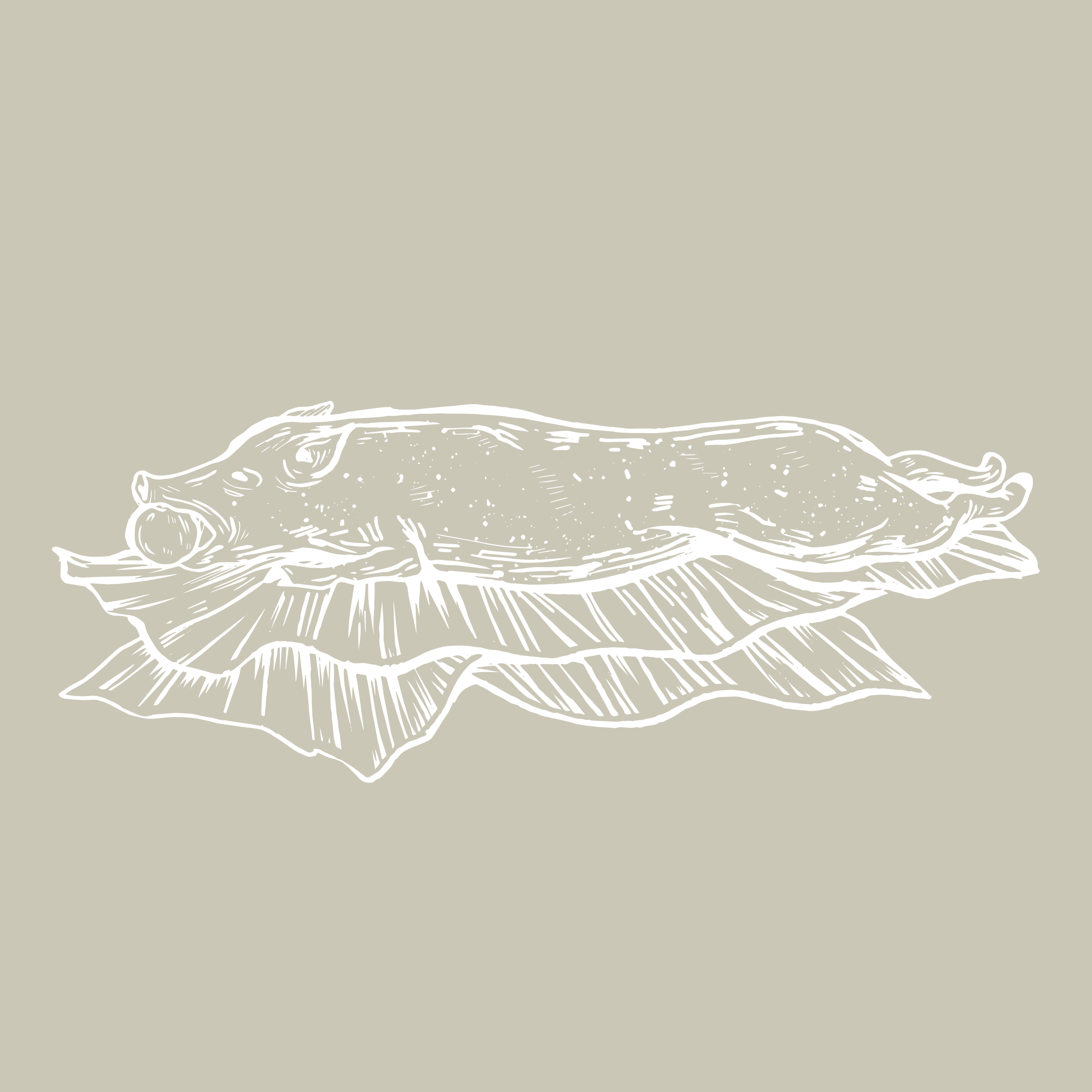 Line drawing of a fish on top of a leaf.