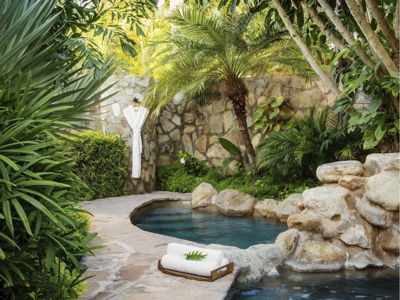 Image 1-19-26 at 9.02 PM.jpeg