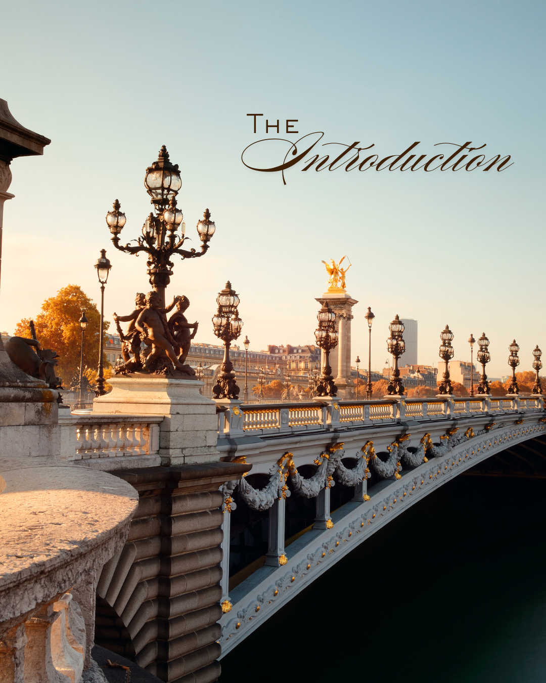 The Introduction