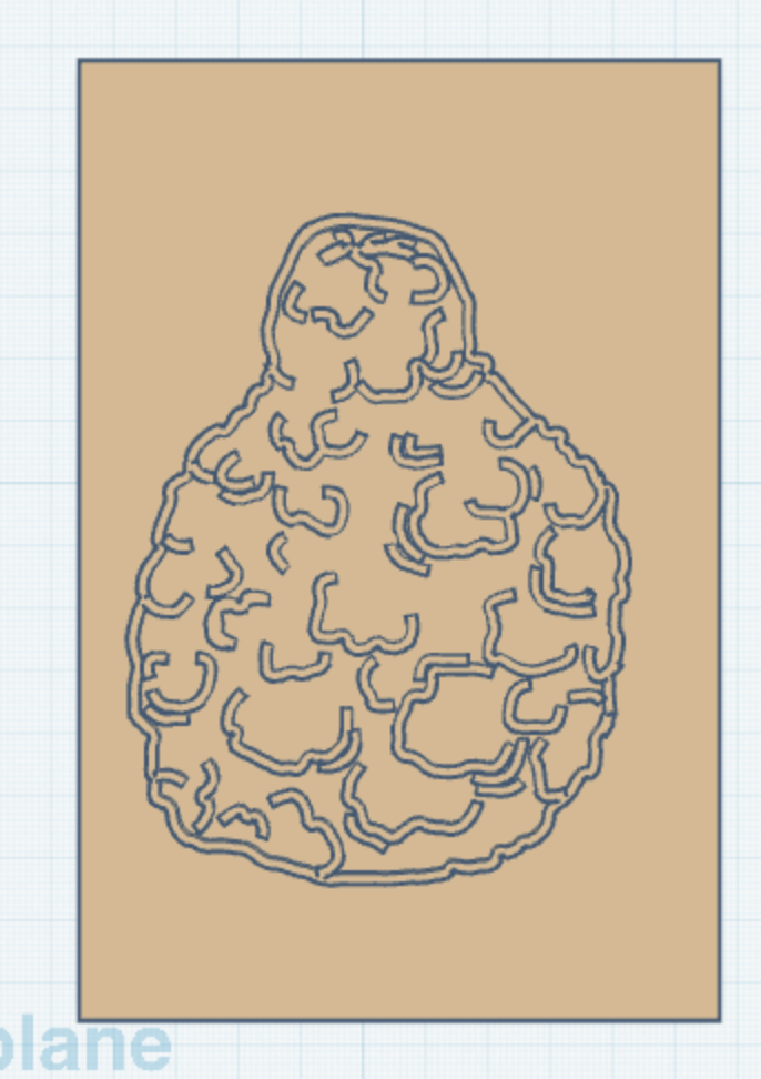 Screenshot 2026-02-19 at 11.29.31 AM.png